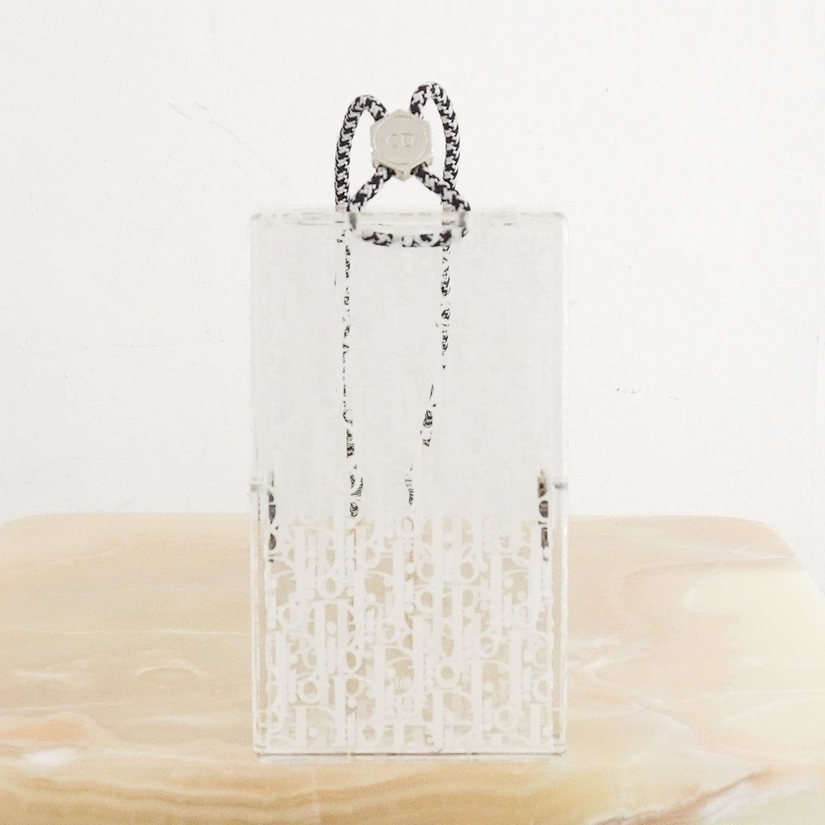 Back image Dior Oblique Plexiglass Vertical Pouch