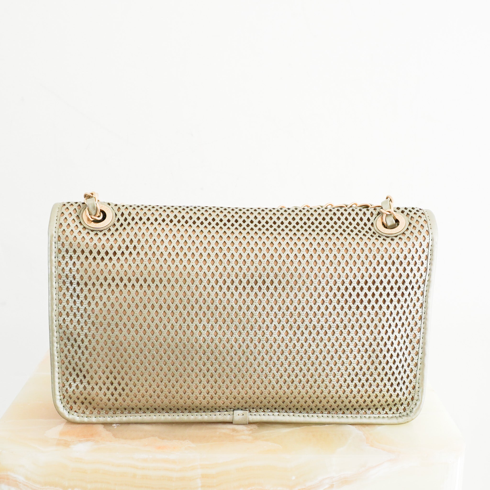 Chanel-French-Riviera-Perforated-Metallic-Medium-Flap-Bag-back-picture