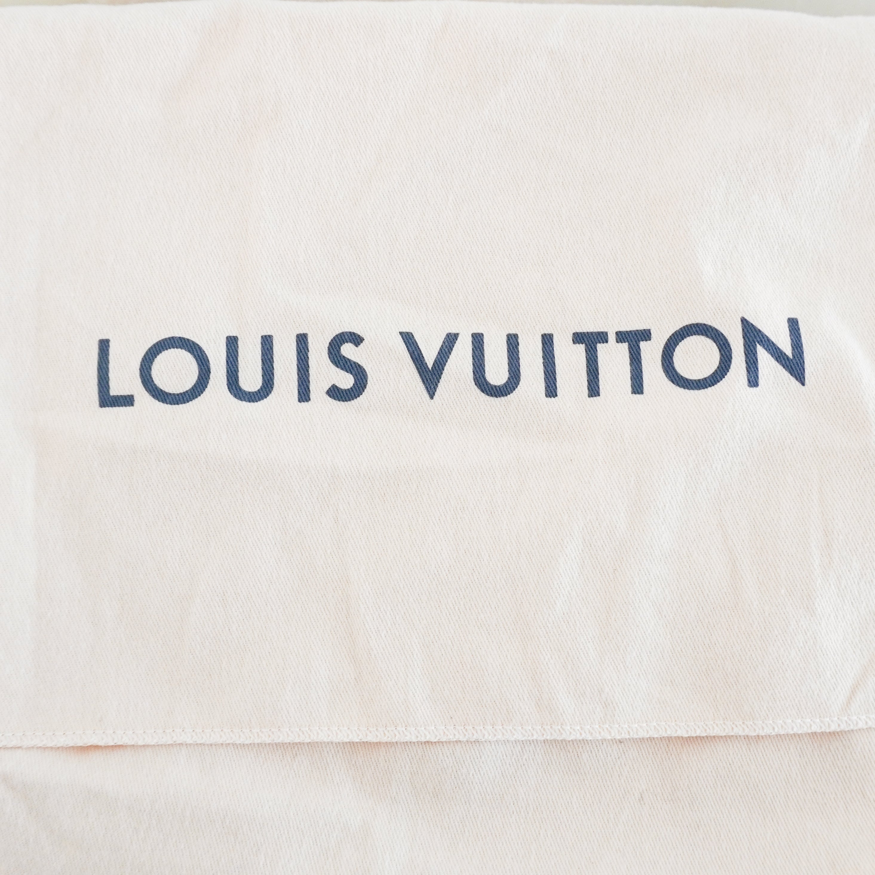 Louis Vuitton OnTheGo PM Bag in White Monogram Empreinte Leather (RRP £2750) | Authentic Preloved