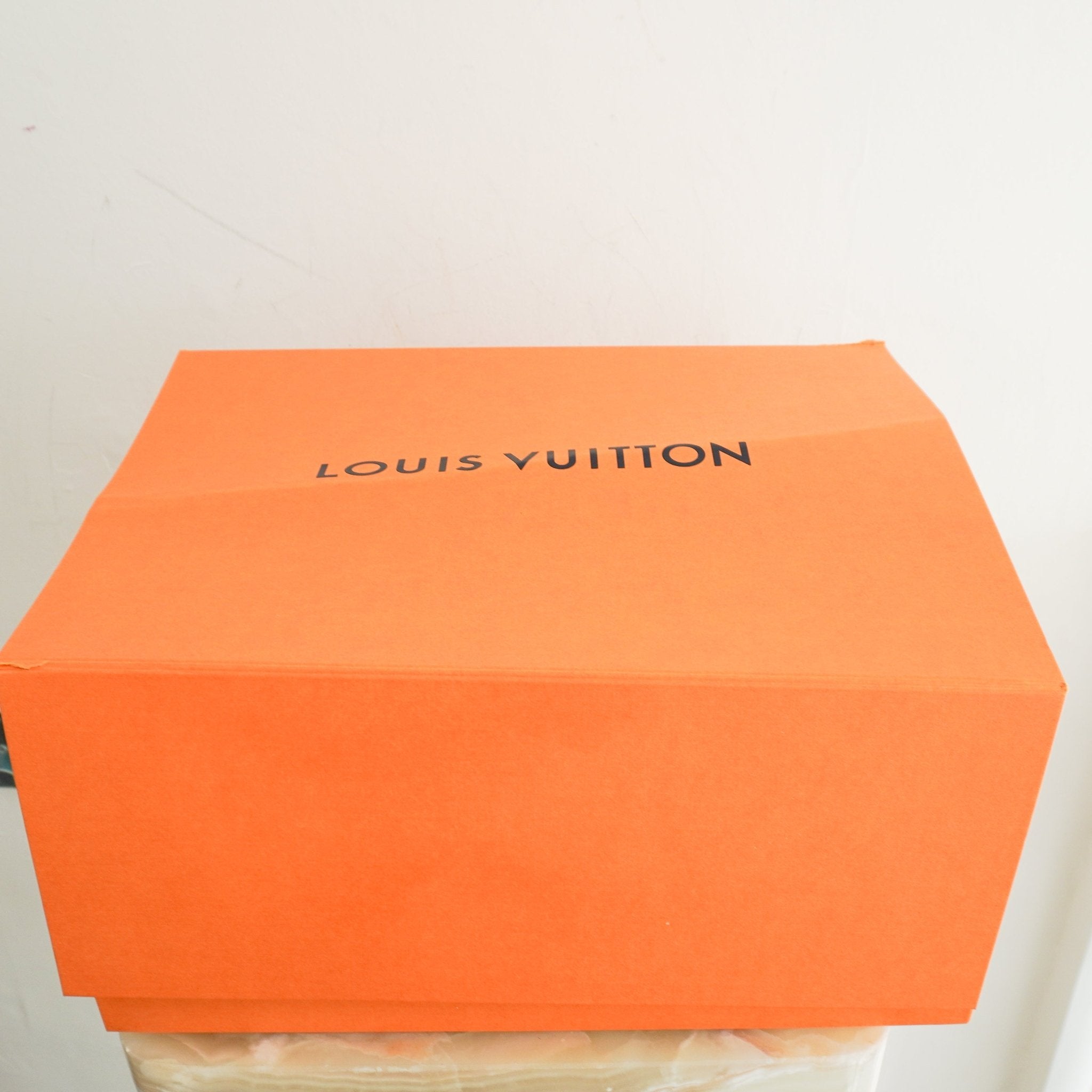 Louis Vuitton Speedy Fleur De Jais 2010 Collection | Authentic Preloved - Reloved Again
