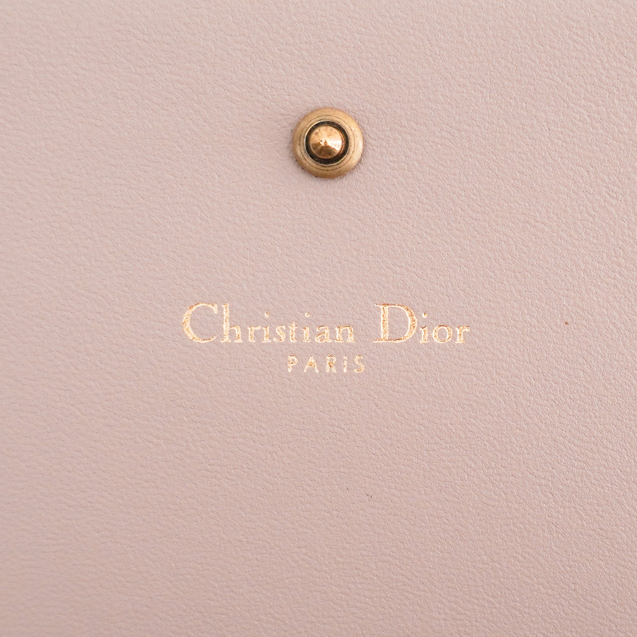 Christian Dior Pink Leather Diorama Wallet on a Chain RRP £1800 | Authentic Preloved