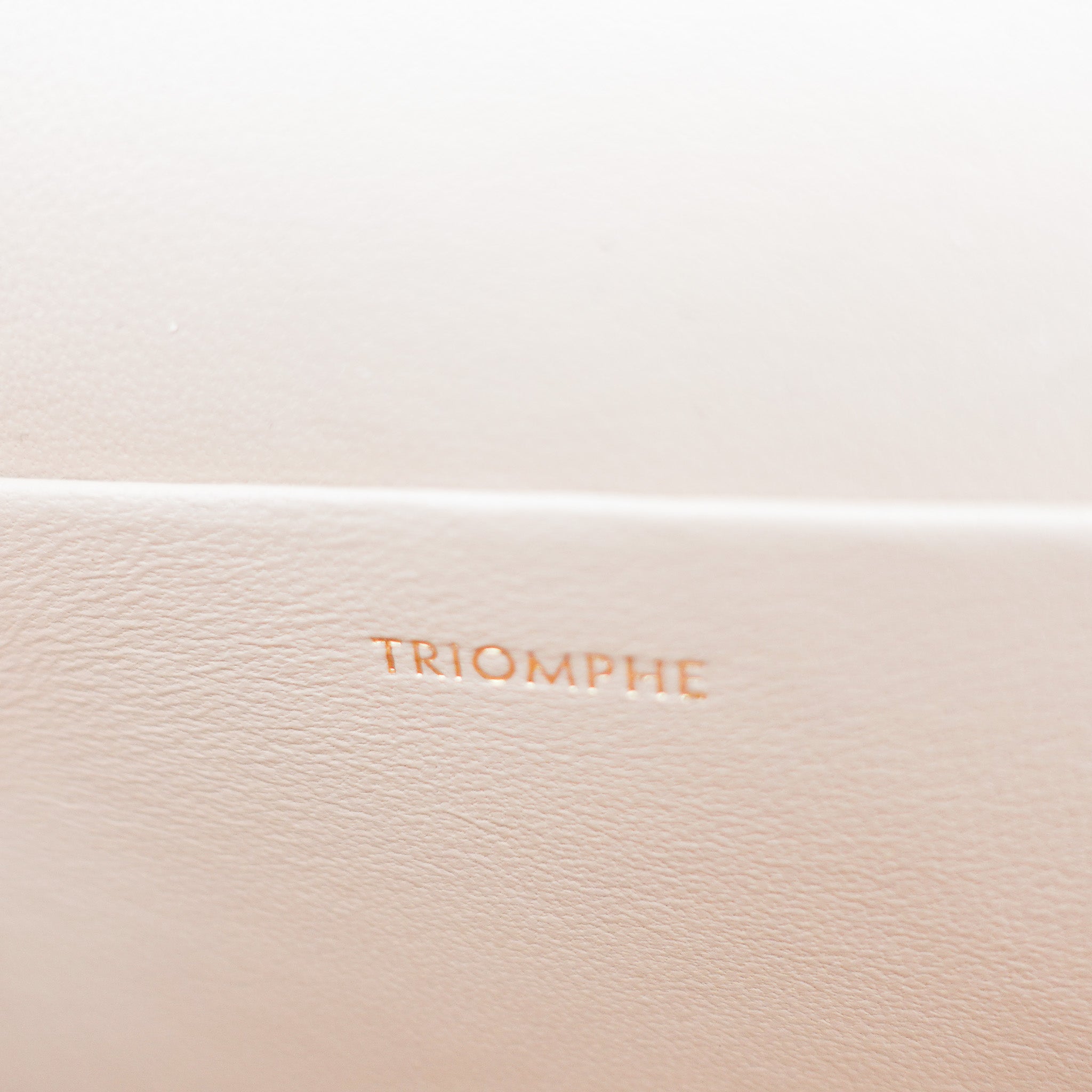 Celine Medium Triomphe Bag in Oat Beige £3000 | Authentic Preloved - Reloved Again