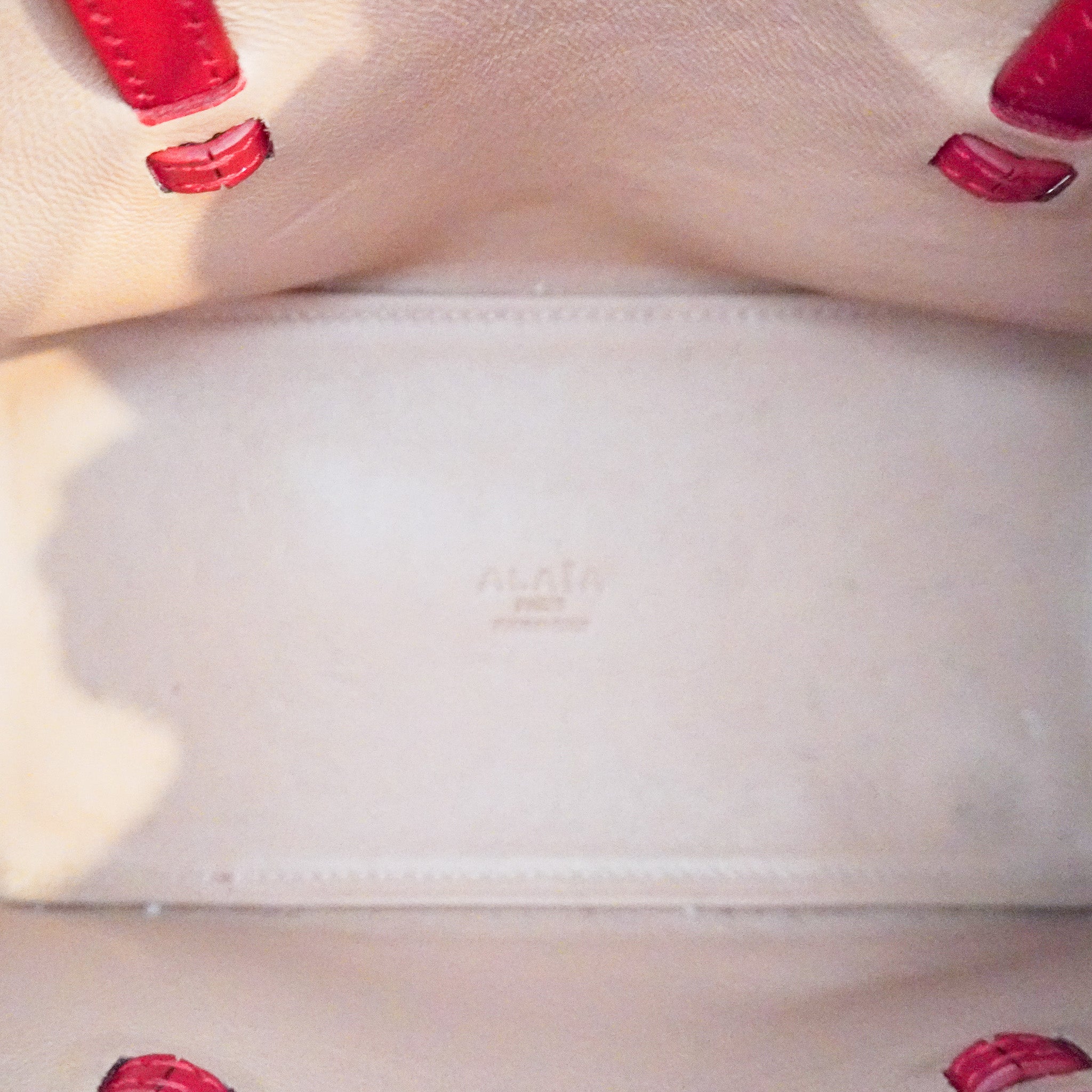 Alaïa Mina 16 Micro Bag in Red (RRP £1000) | Authentic Preloved