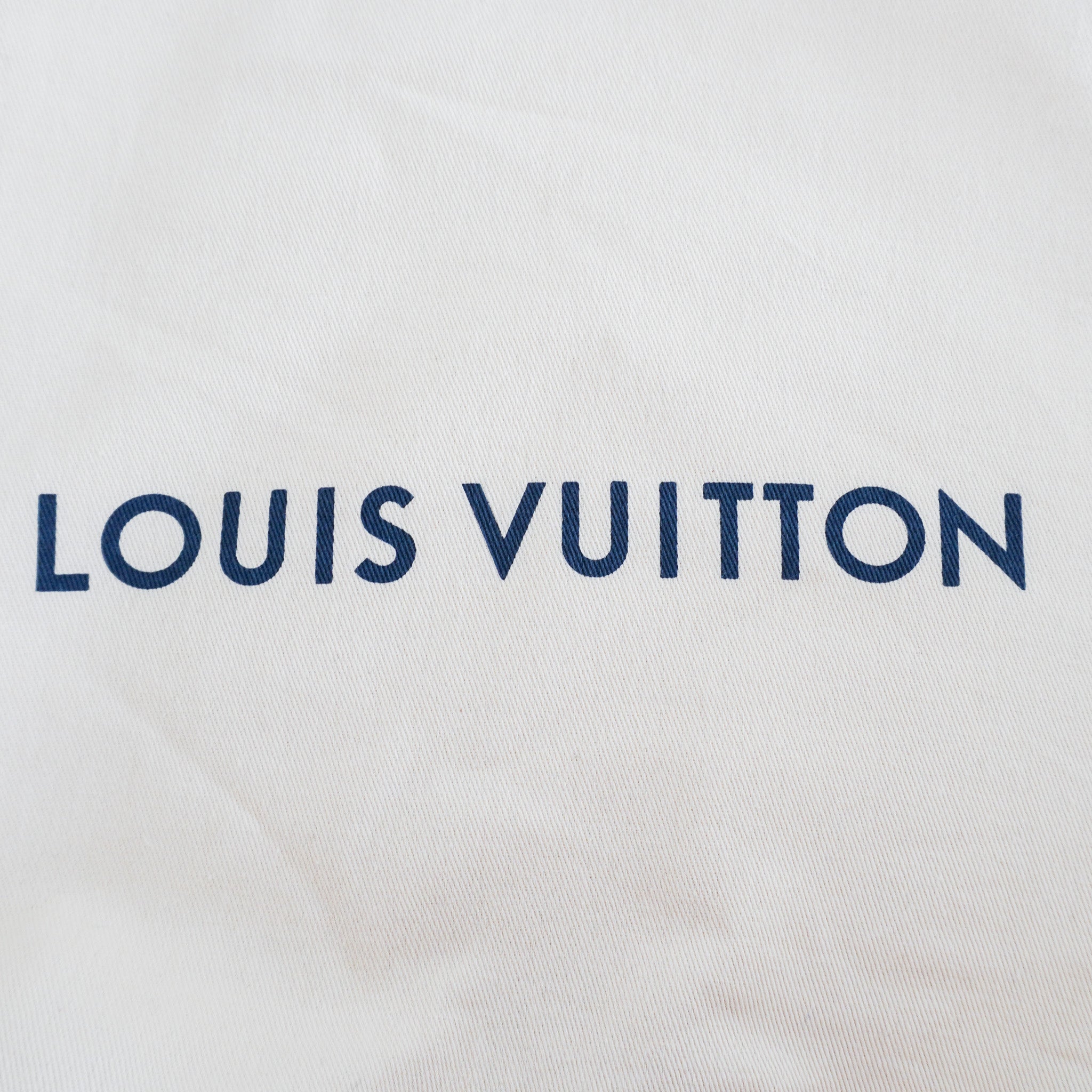 Louis Vuitton Capucines BB Bag in White RRP £6000 | Authentic Preloved