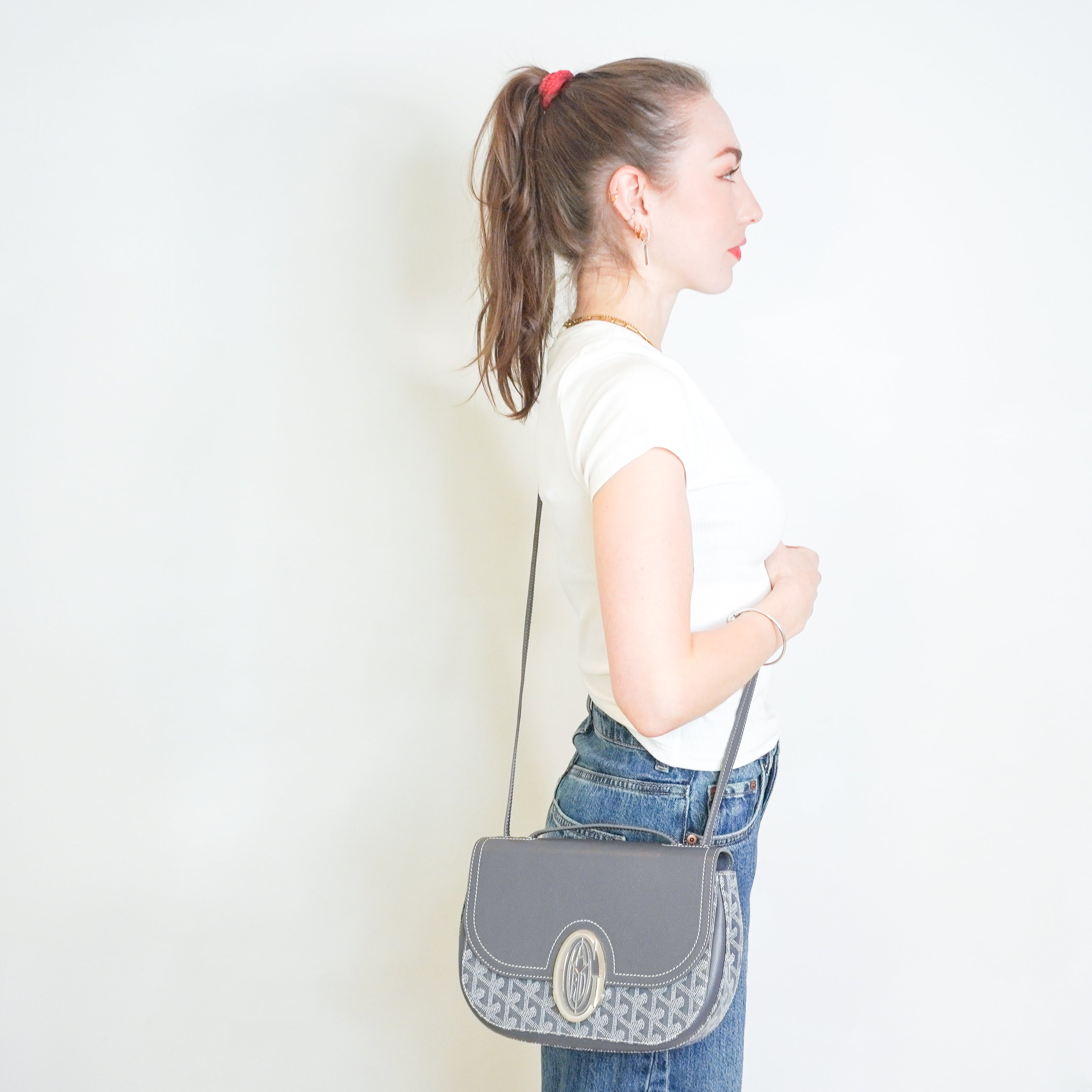 NEW Goyard 233 PM Bag in Grey Goyardine and Taurillon Leather (RRP £2500) | Authentic Preloved