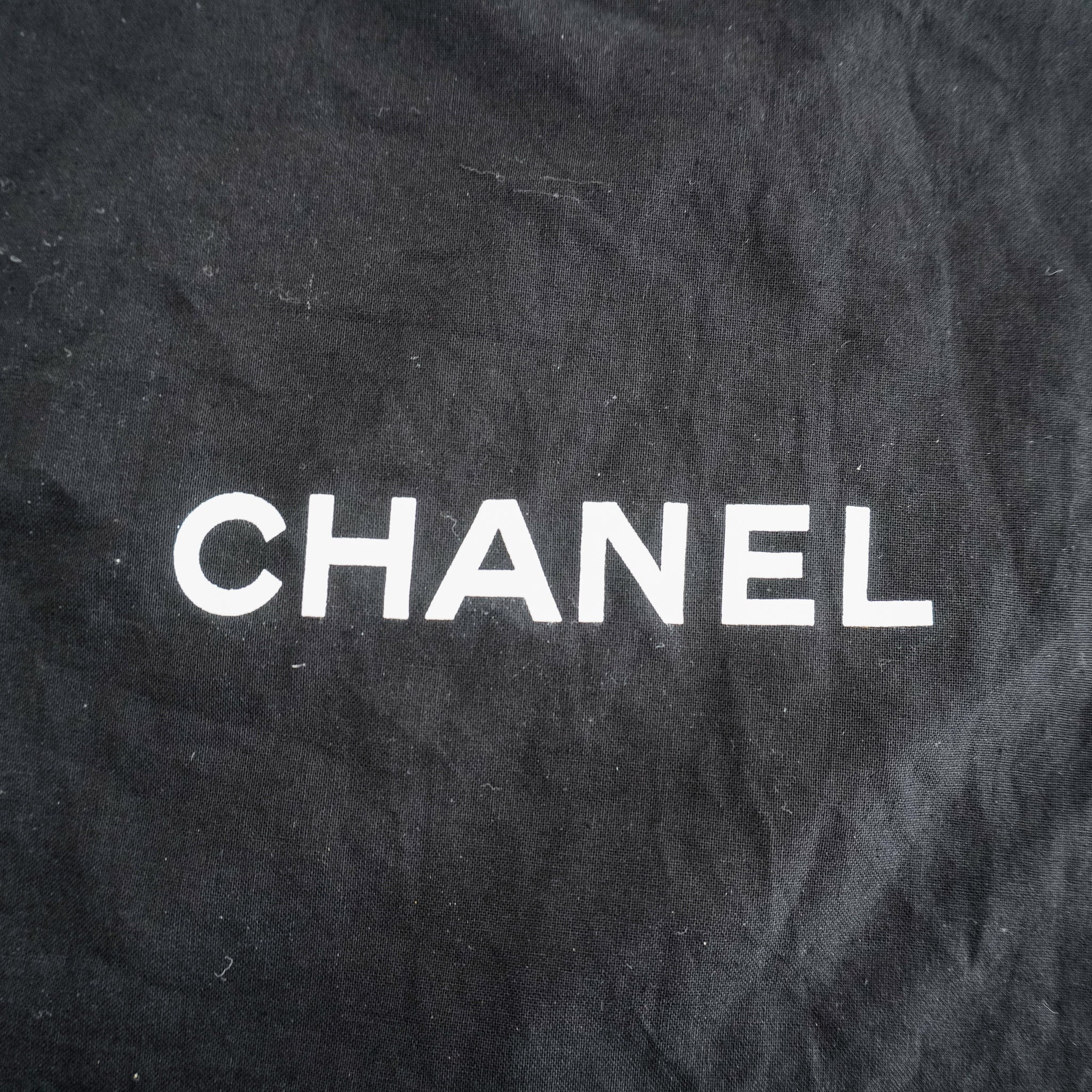 Chanel French Riviera Perforated Metallic Medium Flap Bag | Authentic Preloved