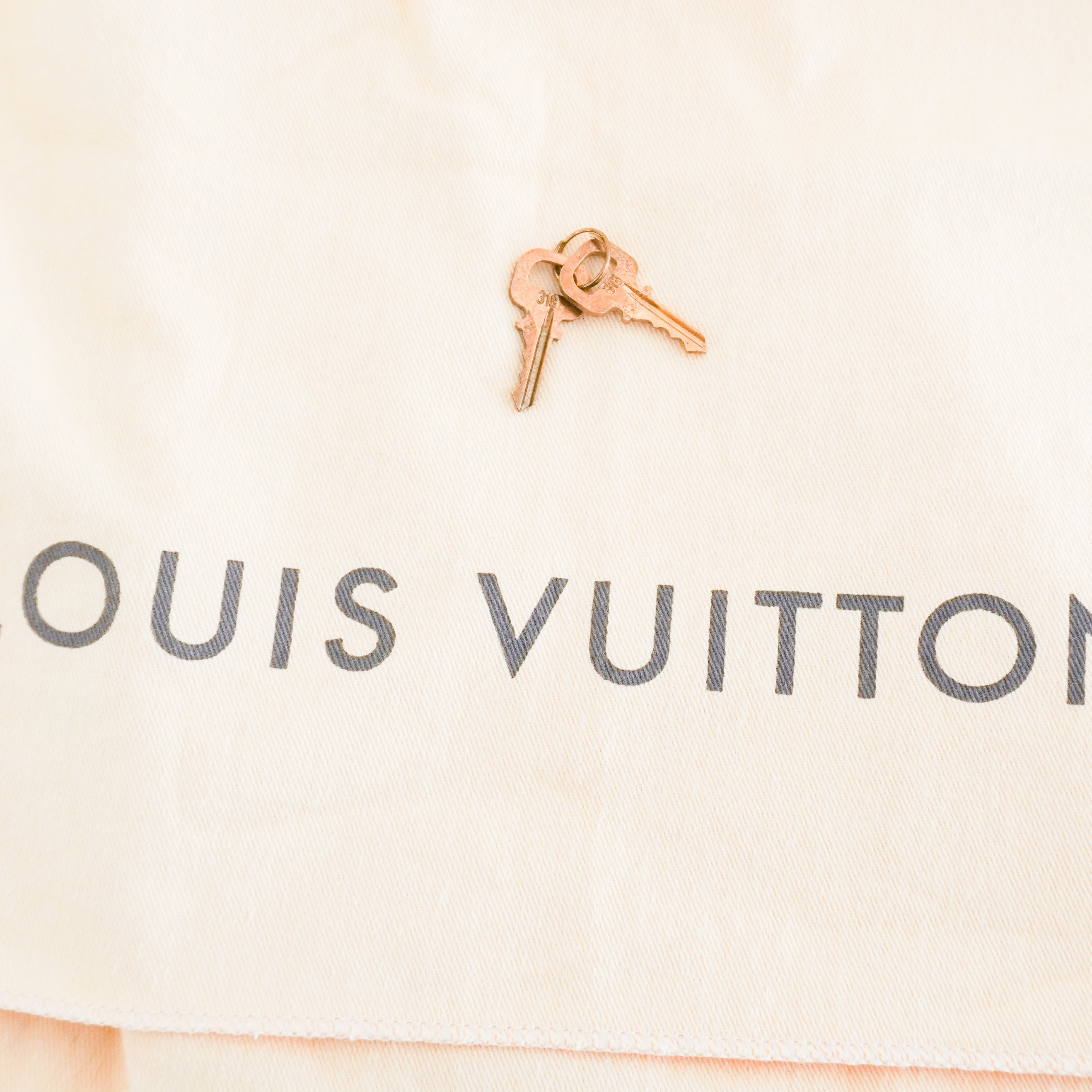 Louis Vuitton Speedy 25 Monogram Canvas Bag (RRP £1500) | Authentic Preloved