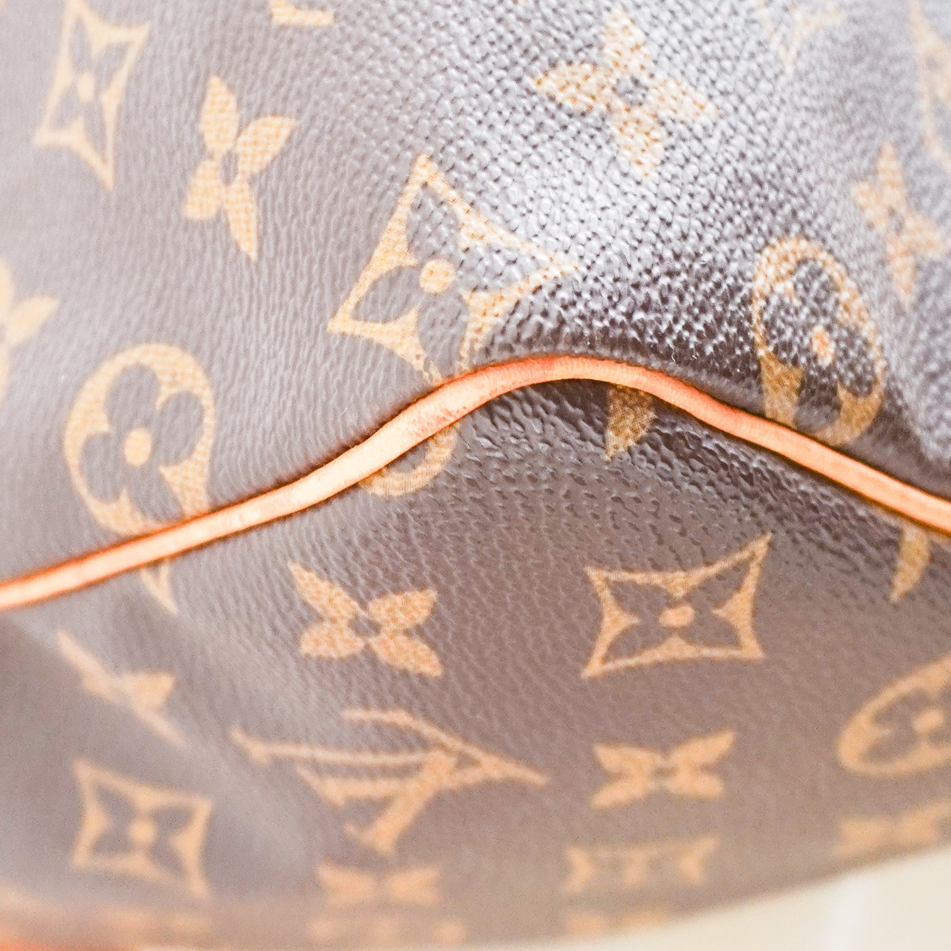 Louis Vuitton Speedy 25 Monogram Canvas Bag (RRP £1500) | Authentic Preloved