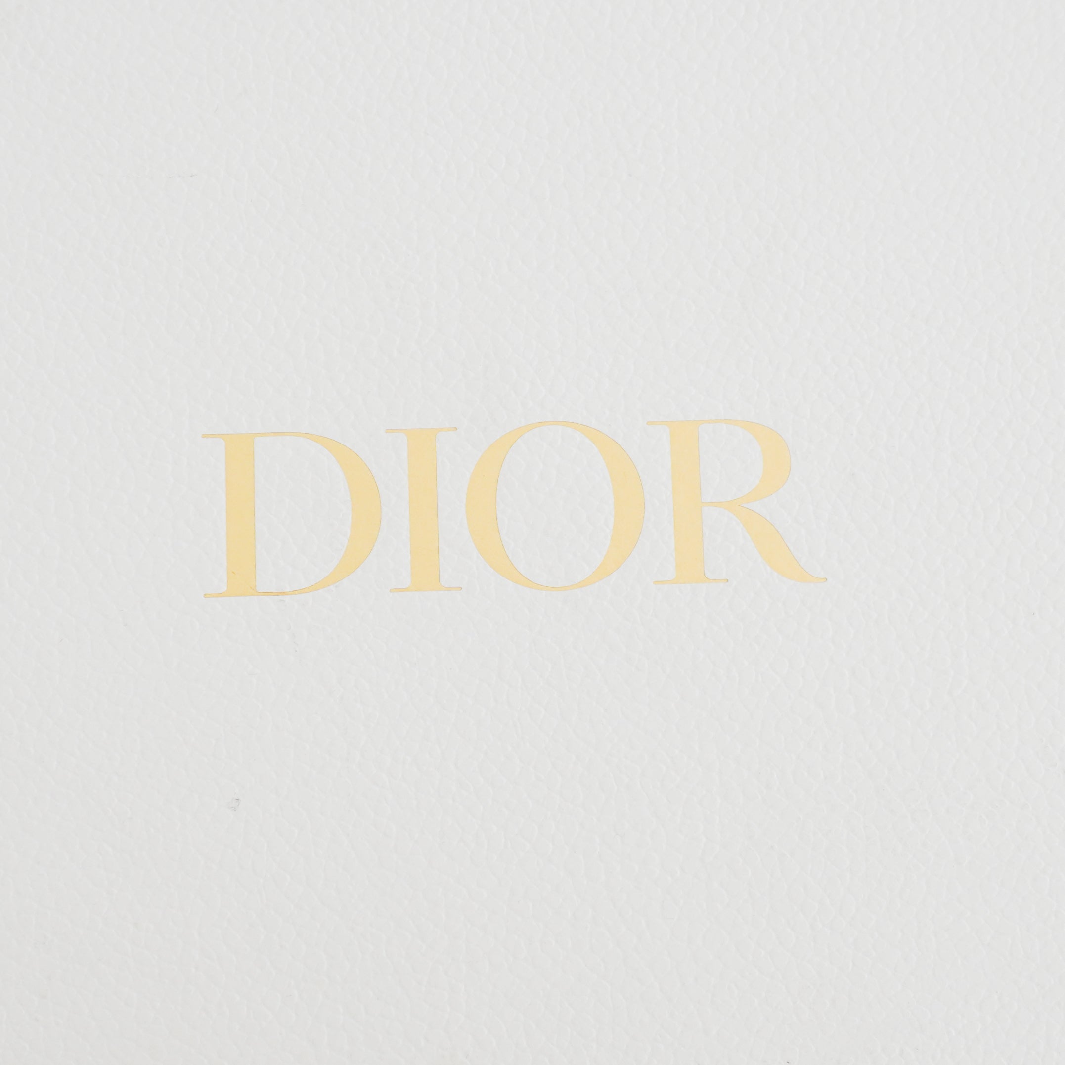 Dior Black Calfskin Medium Saddle Shoulder Bag RRP £3300 | Authentic Preloved