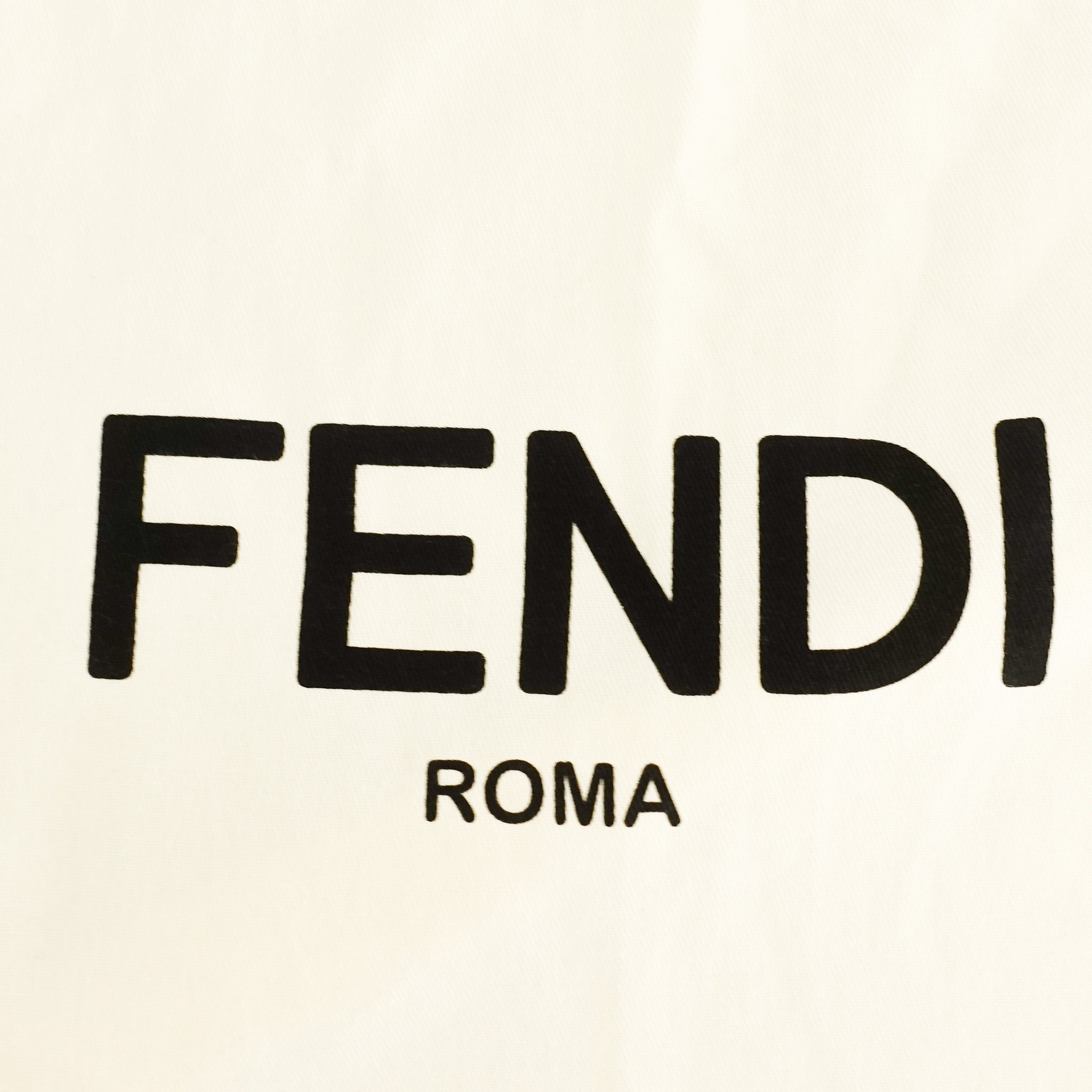 Fendi Runway Medium Bag in Blue | Authentic Preloved - Reloved Again