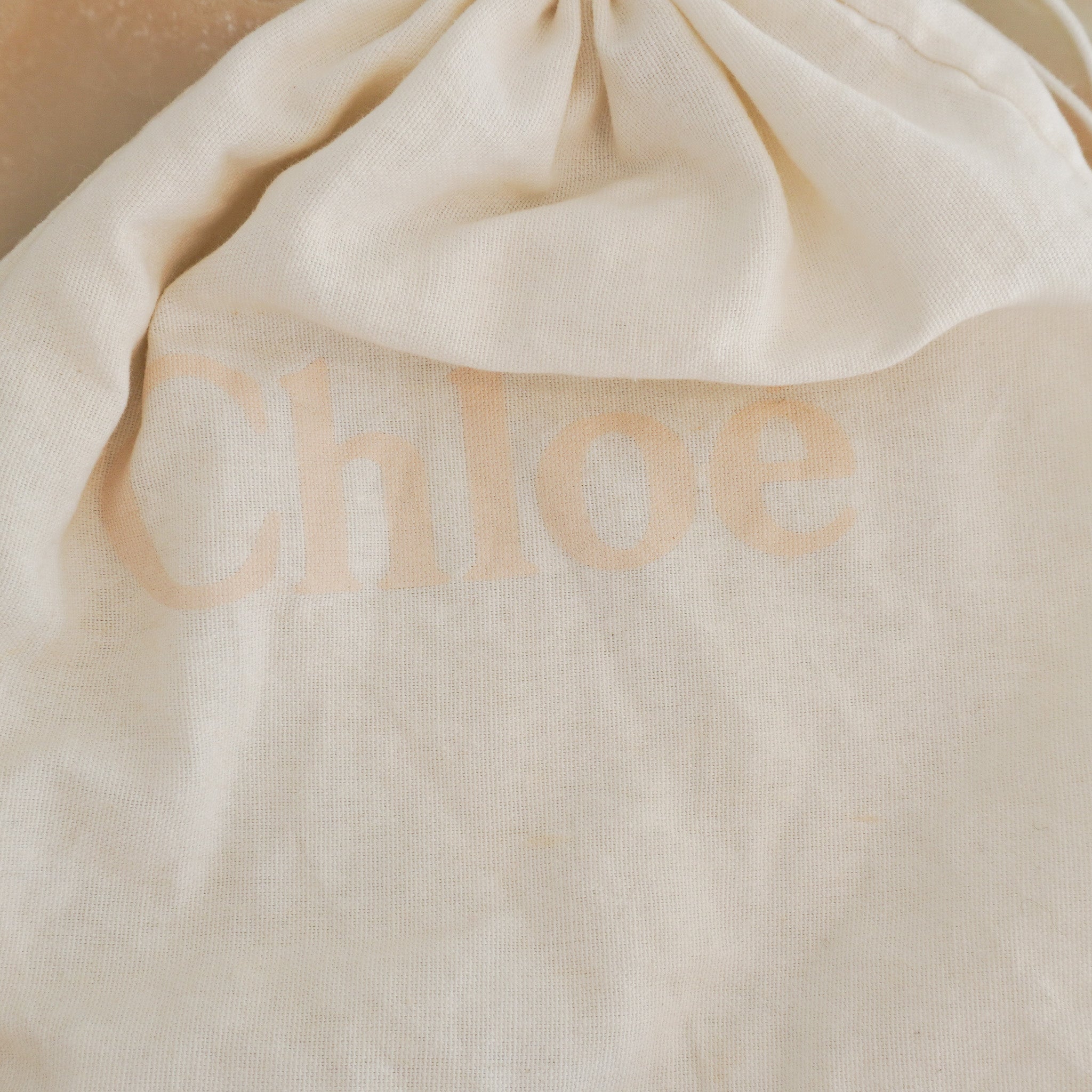 Chloe Drew Mini Crossbody Bag RRP £1,500 | Authentic Preloved