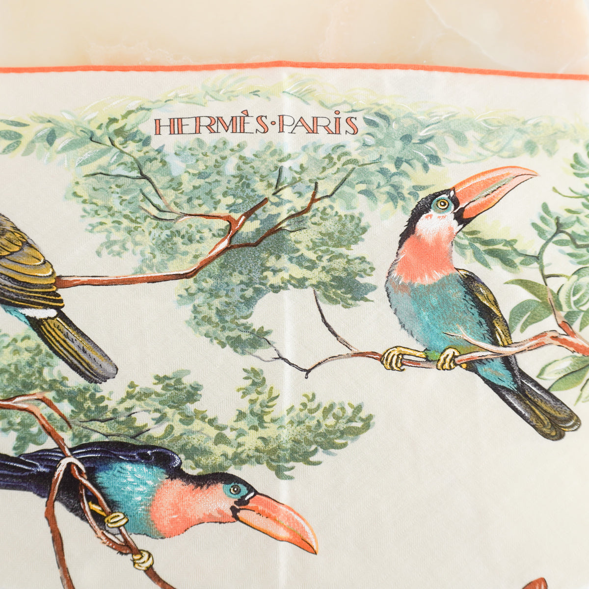 Hermes "Equateur" by Robert Dallet Cashmere Scarf (RRP £930) FINAL SALE Authentic Preloved