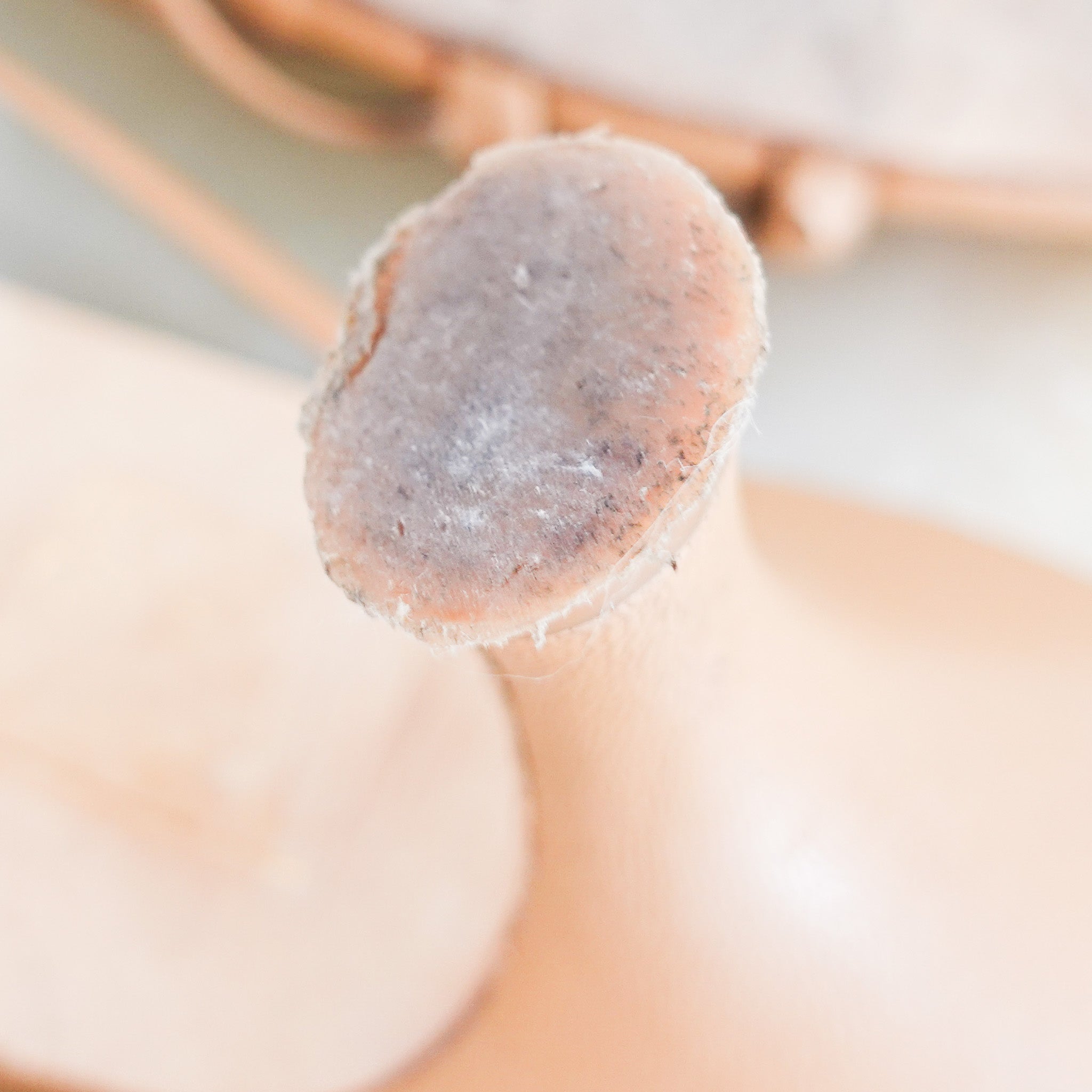 Aeyde Olga Kitten Heel Mules RRP £320 | Preloved and Authentic - Reloved Again