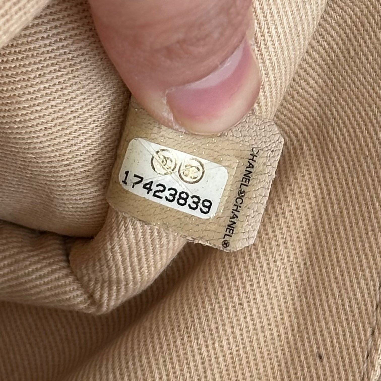 Chanel French Riviera Perforated Metallic Medium Flap Bag | Authentic Preloved