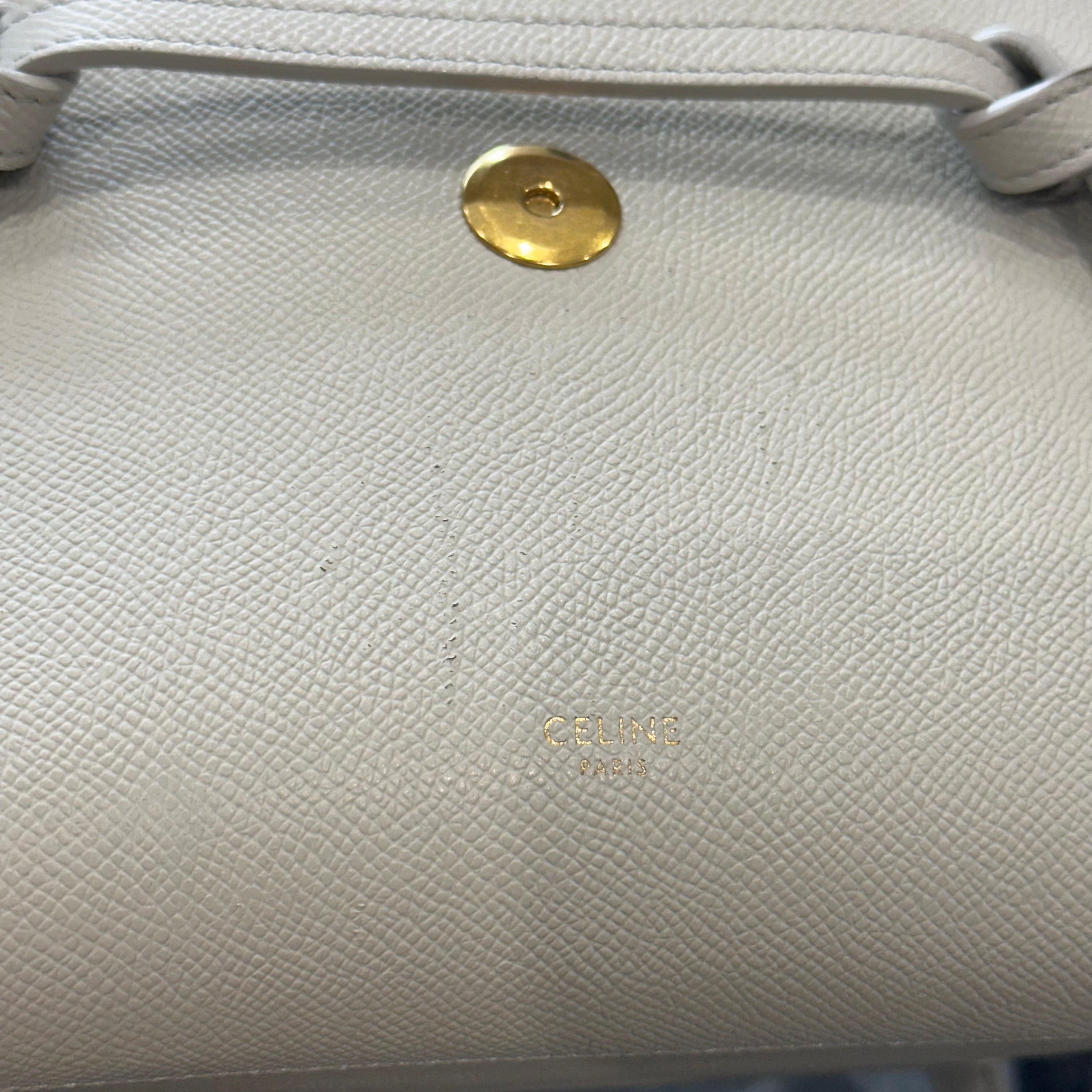 Celine Micro Belt Shoulder Bag in Taupe RRP £1600 | Authentic Preloved