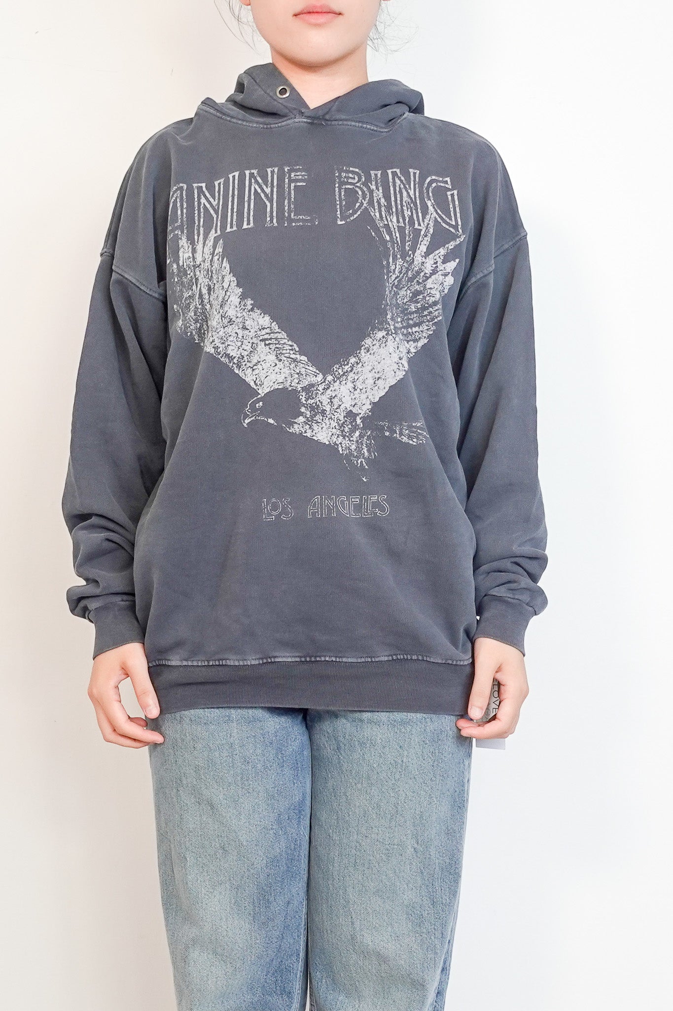 Anine-Bing-Eagle-Hoodie–firstphoto