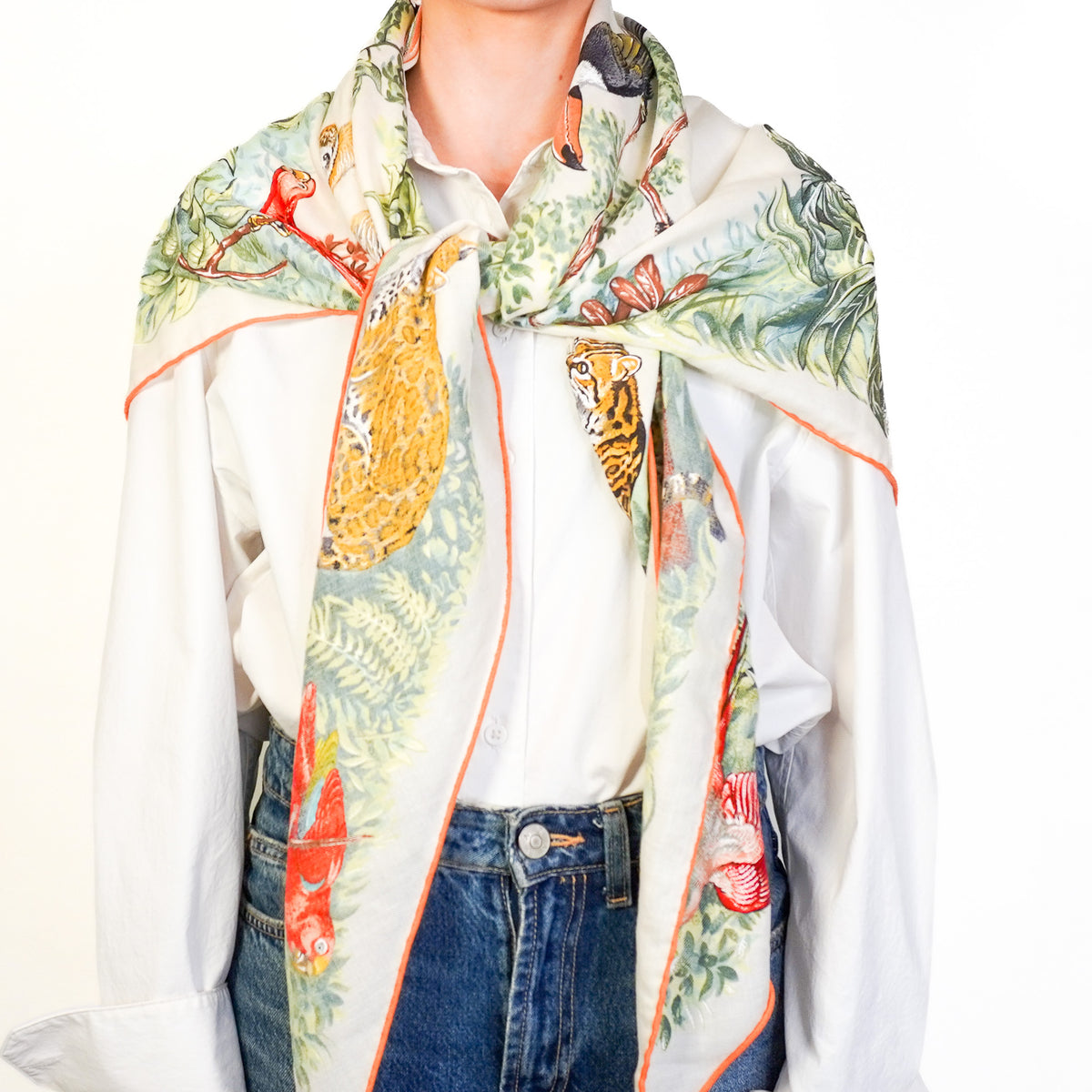 Back Image: Hermes "Equateur" by Robert Dallet Silk Scarf