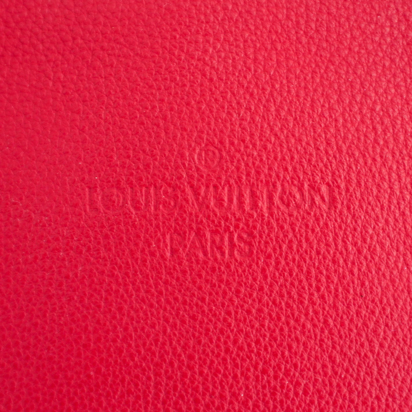 Louis Vuitton Speedy Sofia Coppola bag| Authentic Preloved - Reloved Again