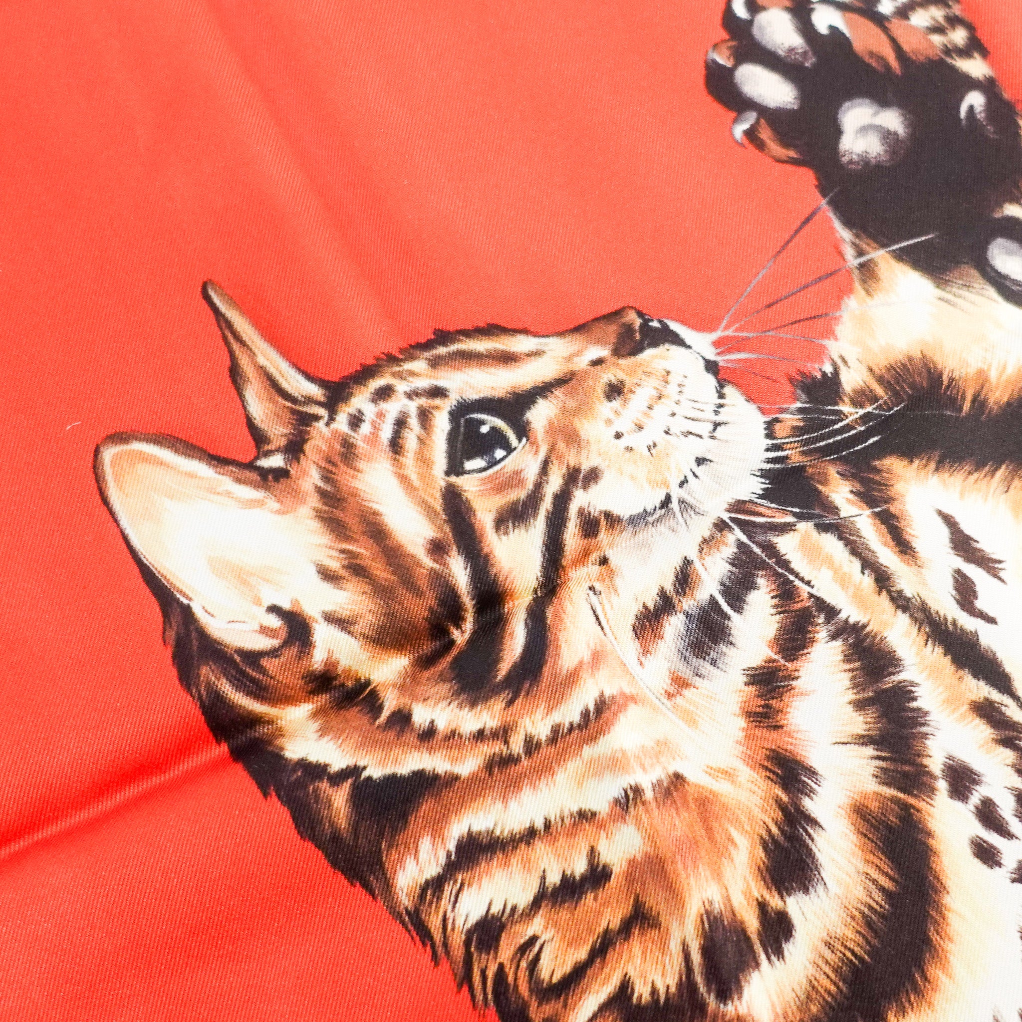 NEW Silk red cat scarf RRP £330