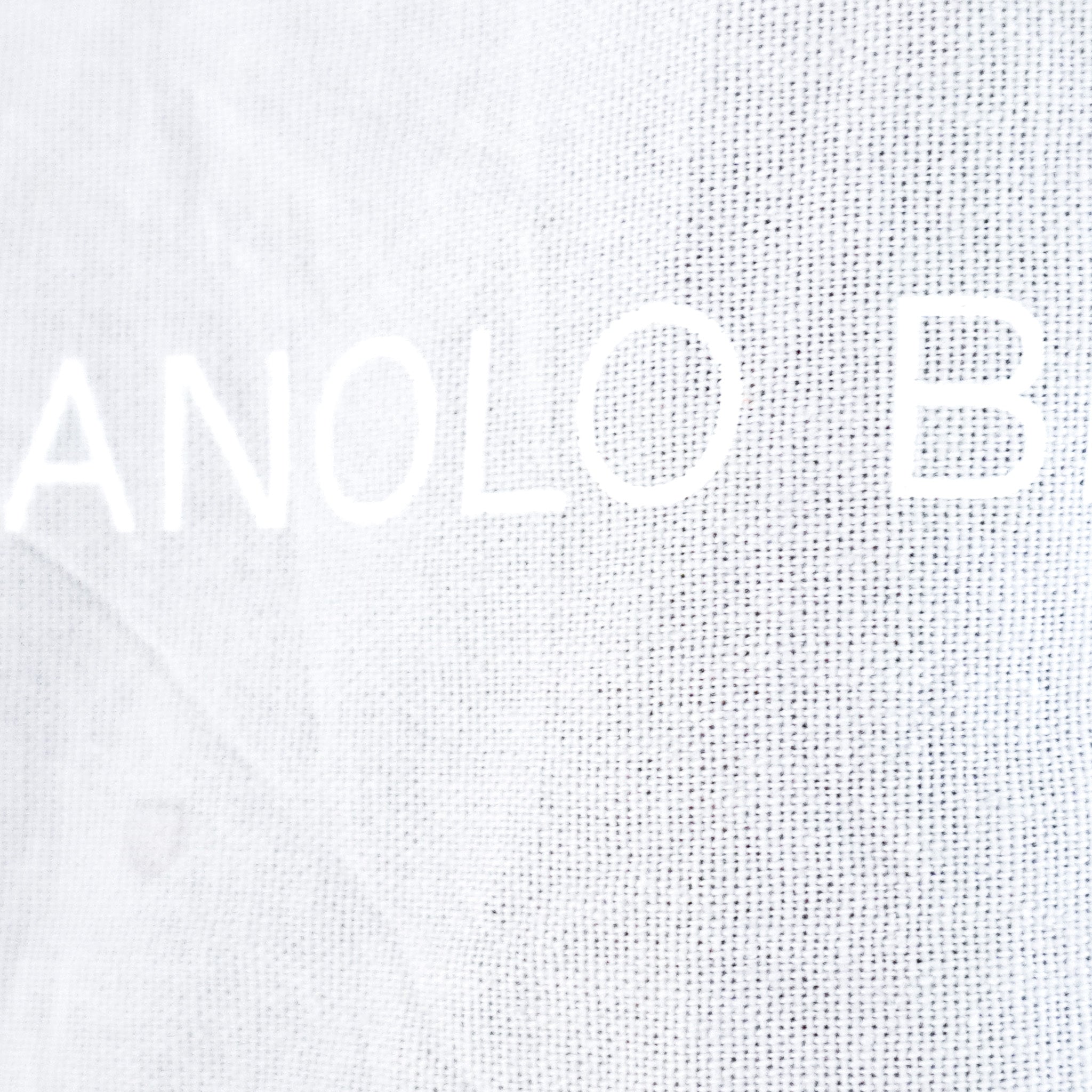 Manolo Blahnik Pointed Toe Flats in Brown | Authentic Preloved