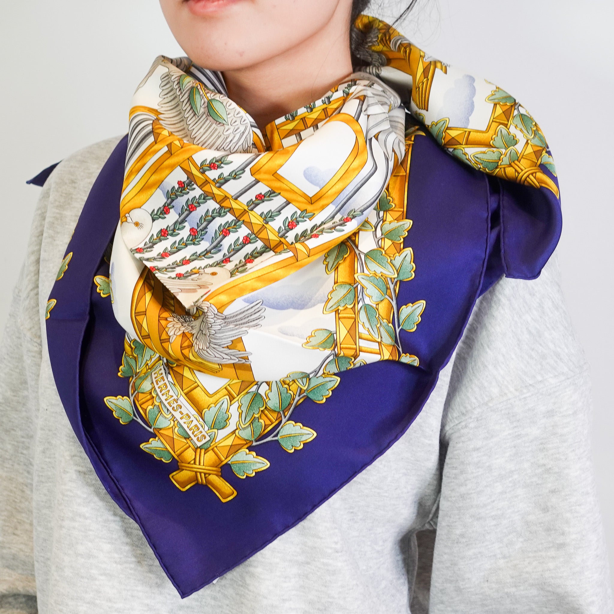 NEW Silk Dove scarf RRP £450