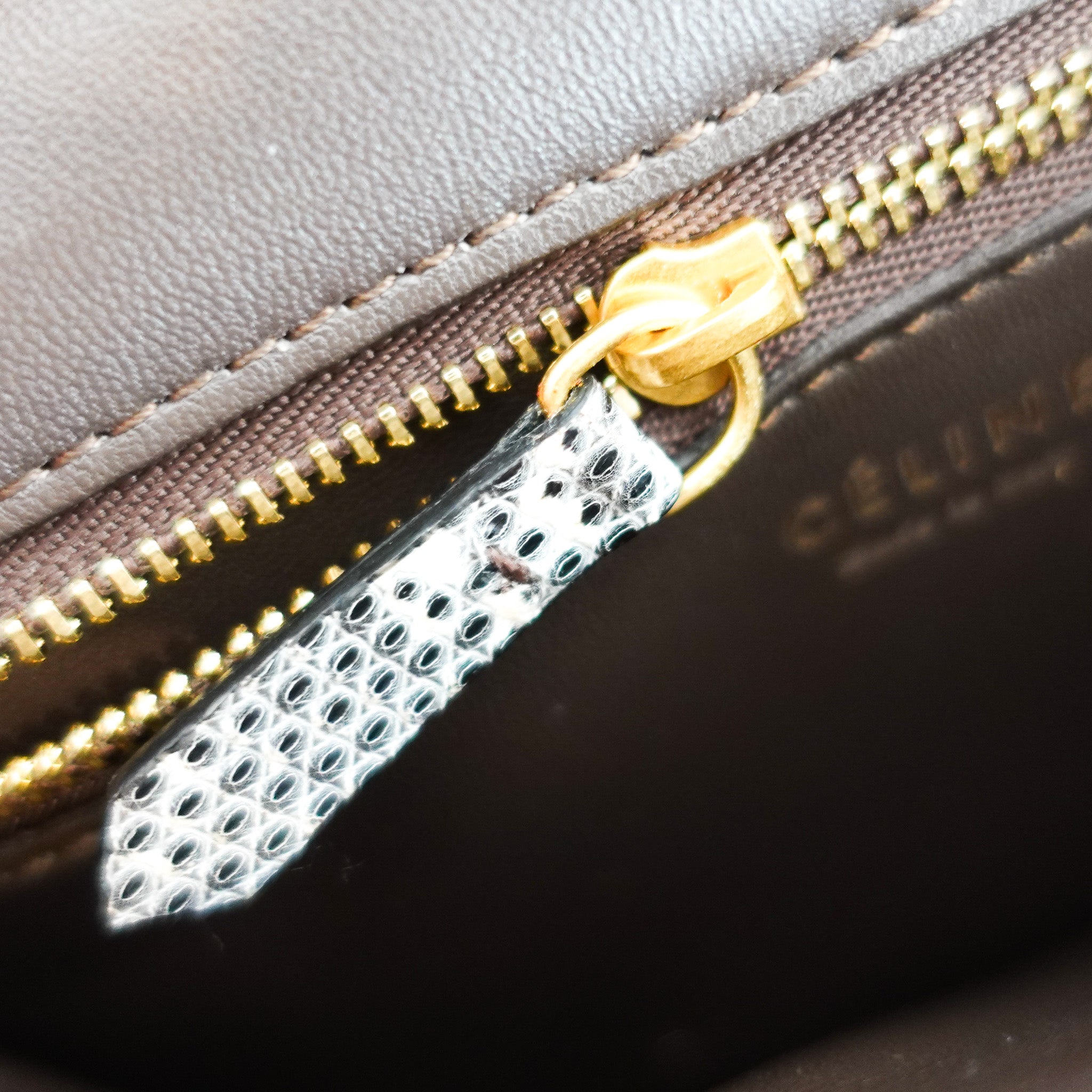 Celine Classic Lizard Bag | Authentic Preloved - Reloved Again