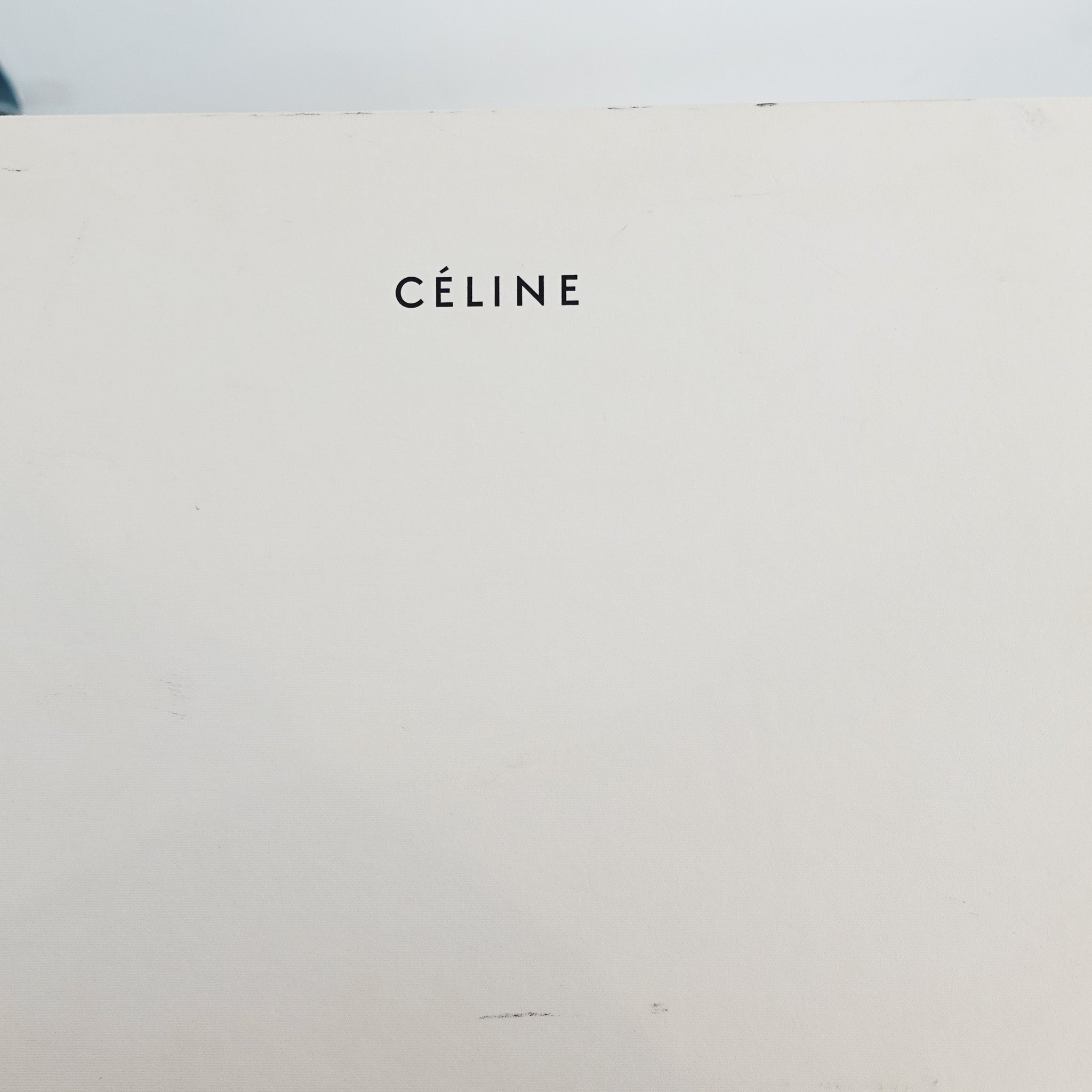 Celine Classic Lizard Bag | Authentic Preloved - Reloved Again