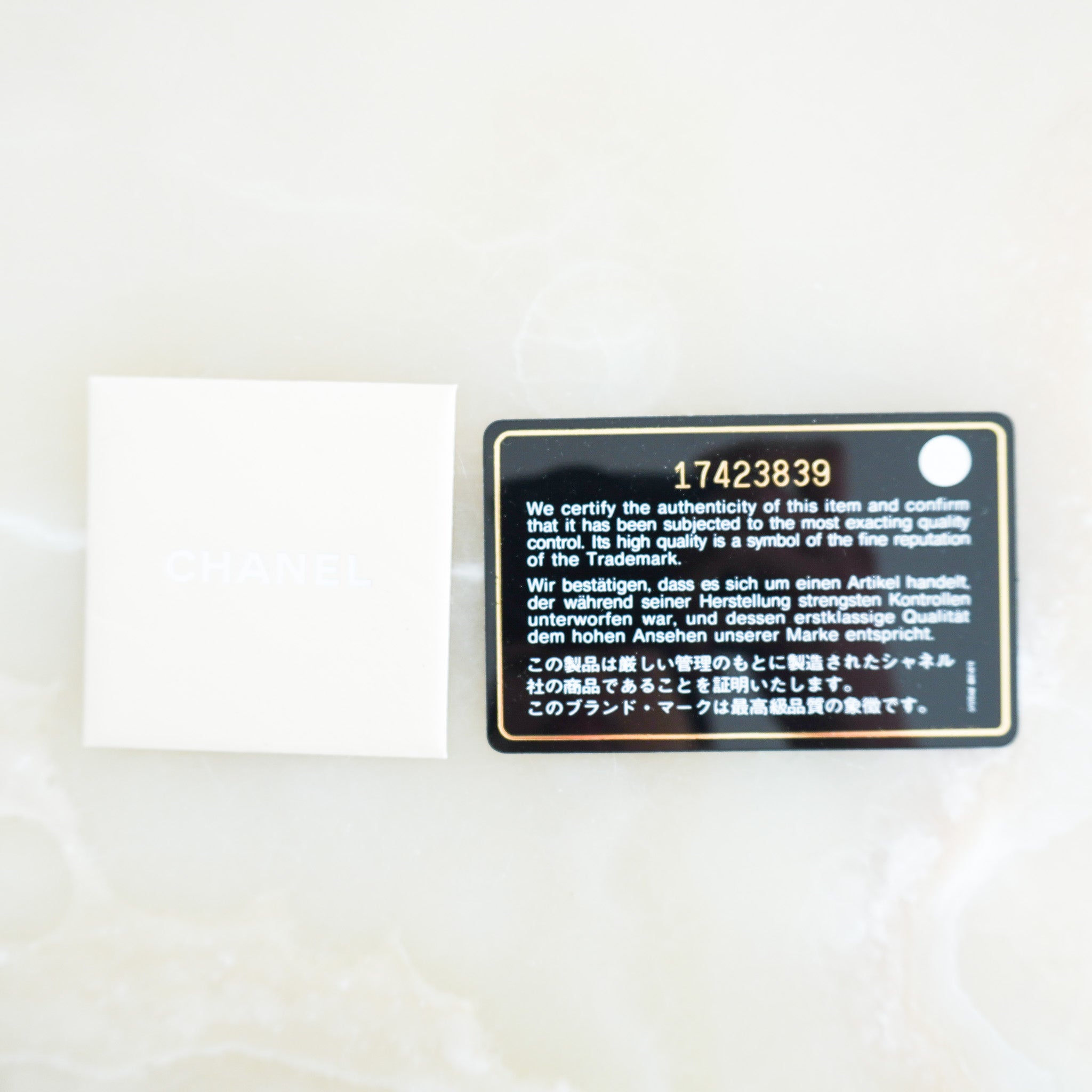 Chanel French Riviera Perforated Metallic Medium Flap Bag | Authentic Preloved