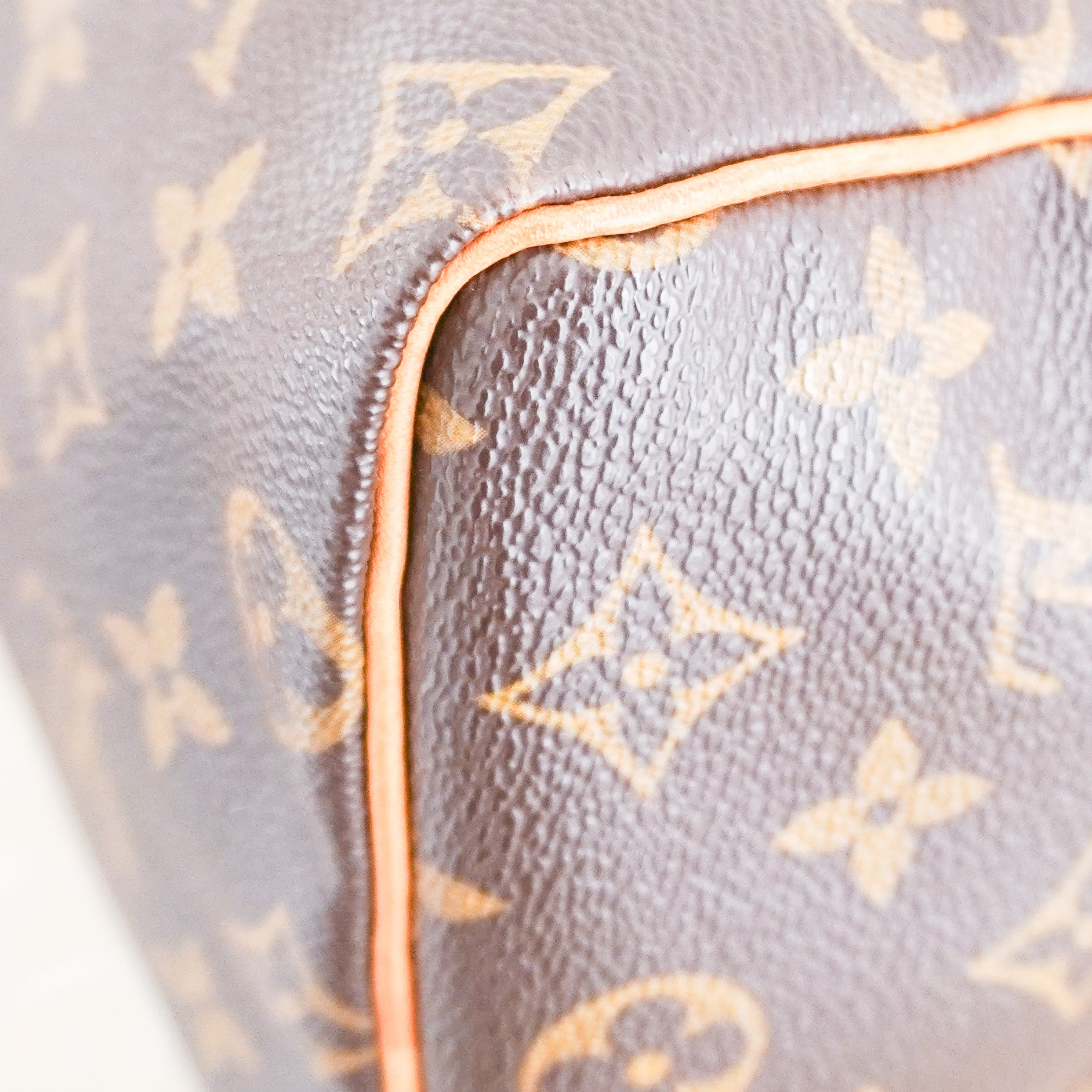 Louis Vuitton Speedy 25 Monogram Canvas Bag (RRP £1500) | Authentic Preloved