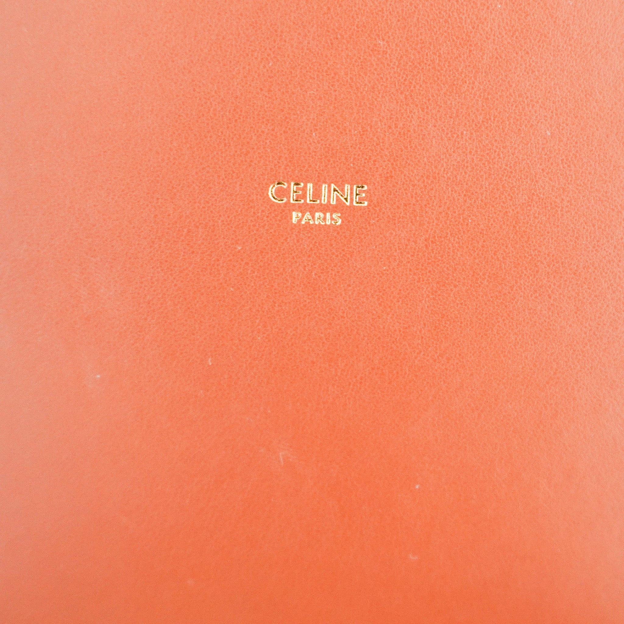 CURRENT SEASON Celine Camillee 16 Soft Bag in Tan RRP £2200 | Authentic Preloved - Reloved Again