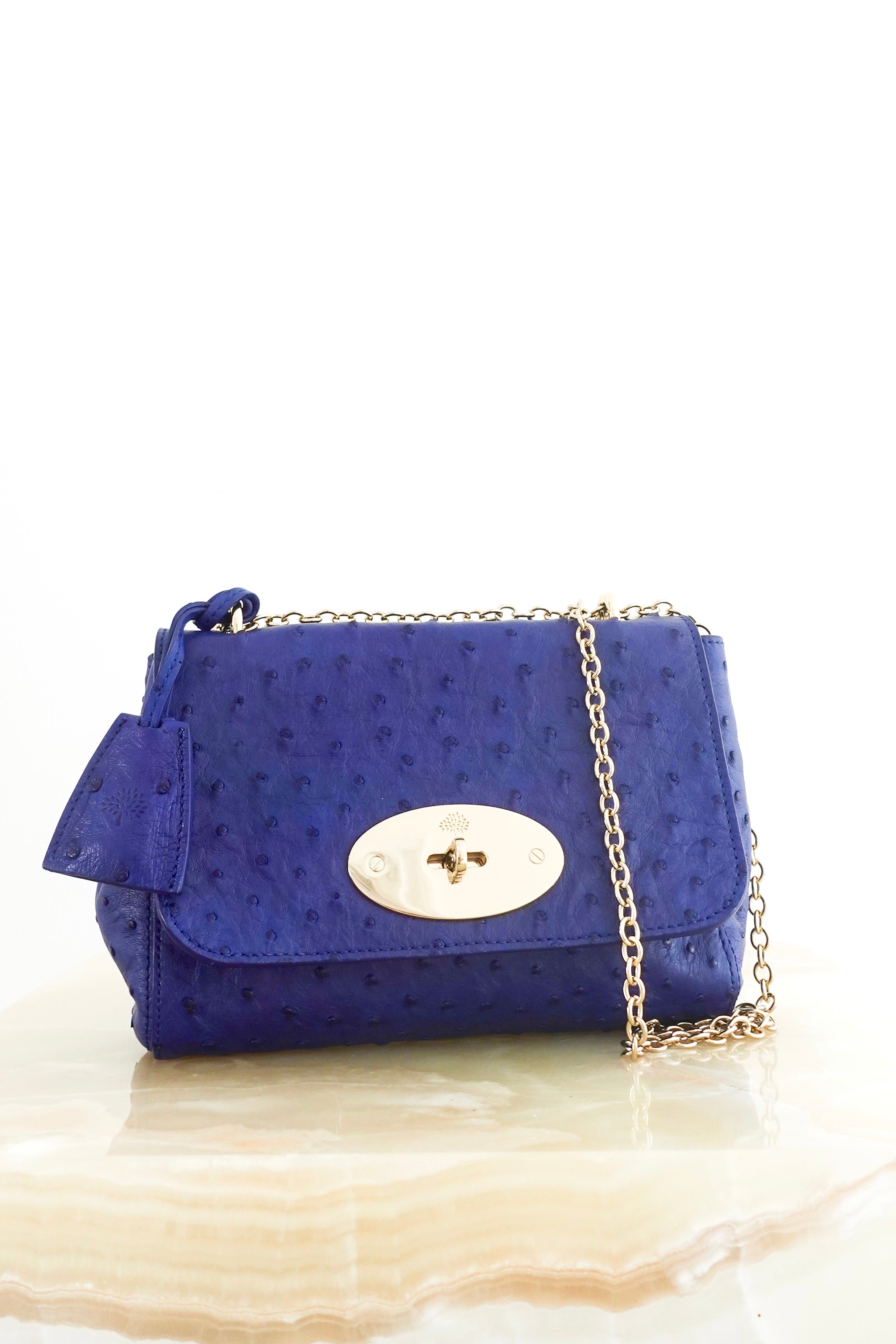 Blue mini lily crossbody bag RRP £995