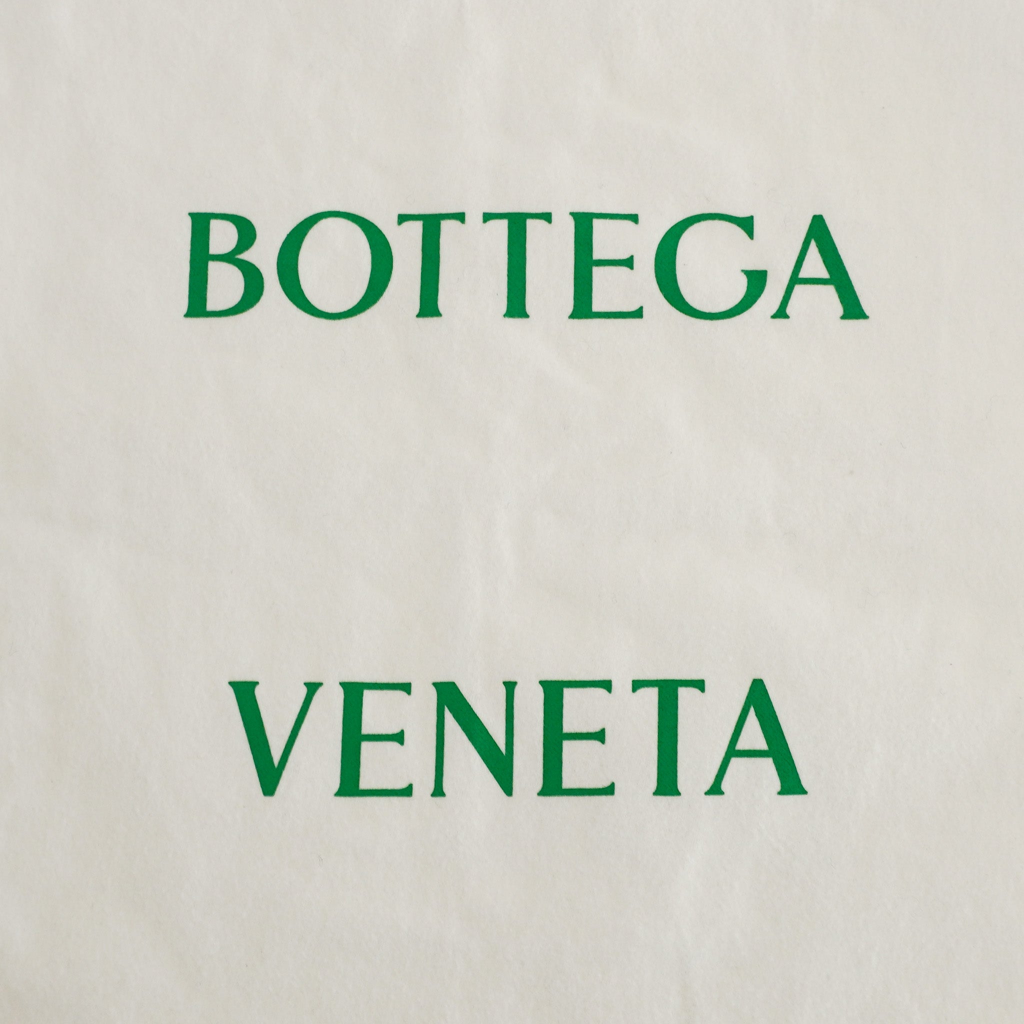 Bottega Veneta Loop Camera Bag (RRP£2150) | Authentic Preloved