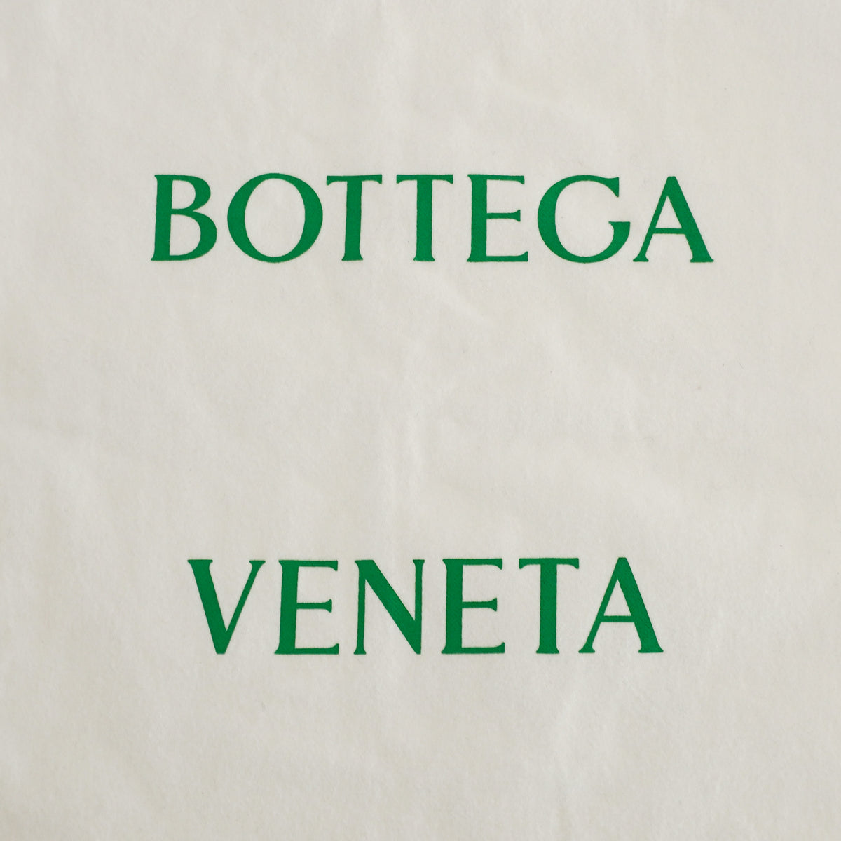 Bottega Veneta Loop Camera Bag in Travertine (RRP£2150) | Authentic Preloved