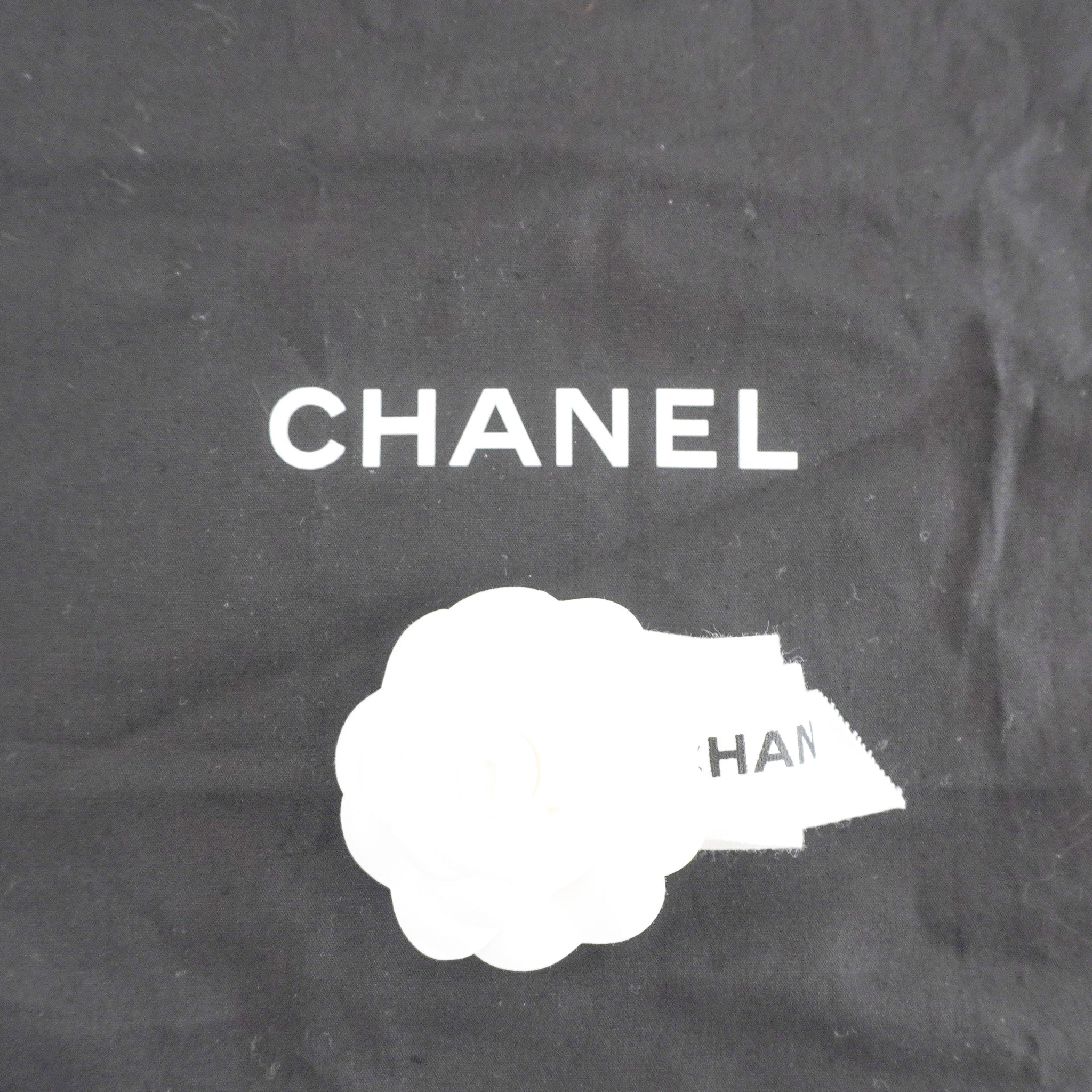 NEW Chanel Mini Sac Rabat Flap Bag in Pearl Crush RRP £4,910 | Authentic Preloved