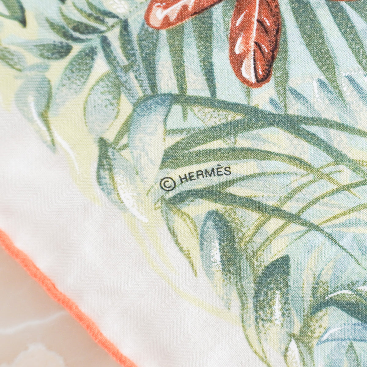 Hermes "Equateur" by Robert Dallet Cashmere Scarf (RRP £930) FINAL SALE Authentic Preloved