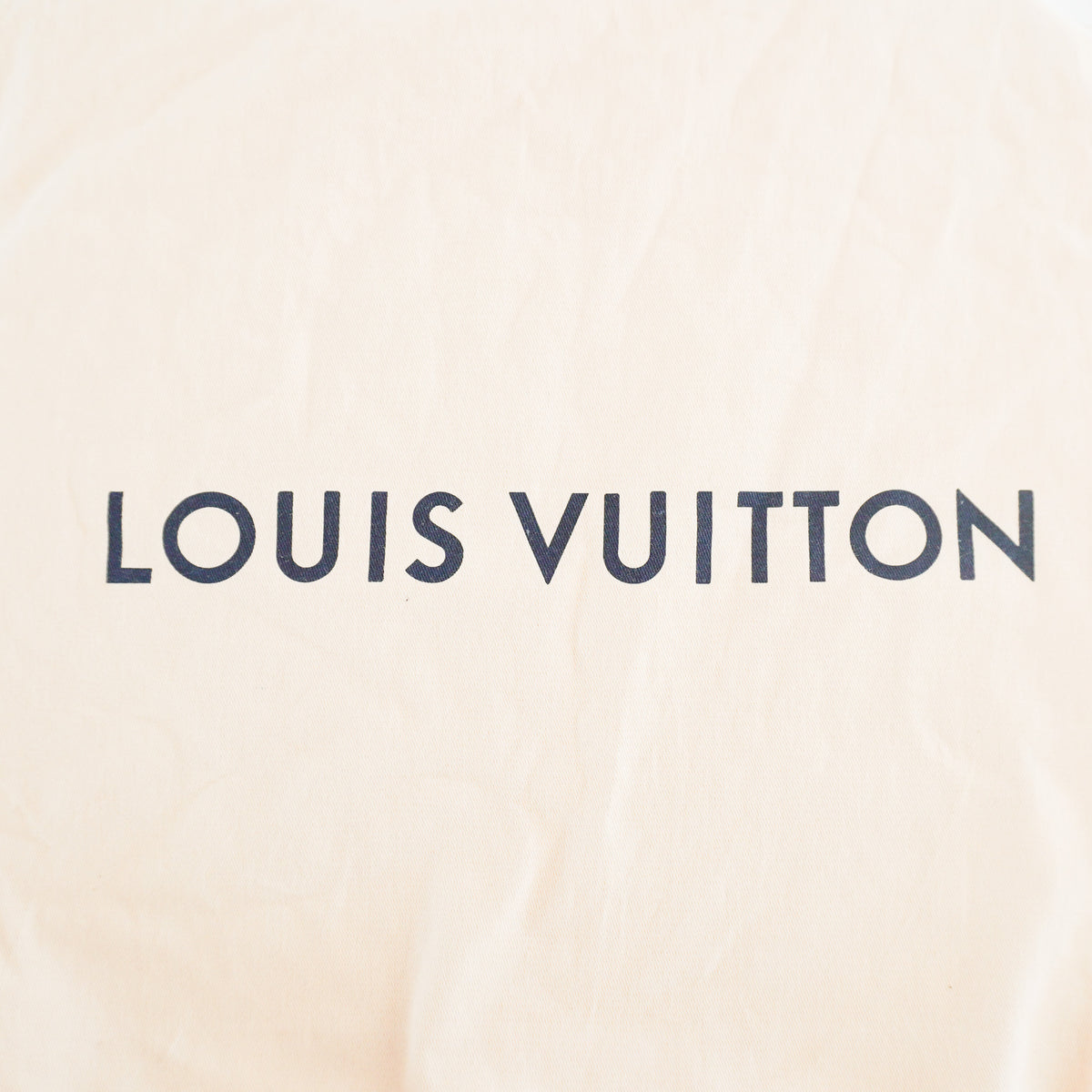 Louis Vuitton BB NOE Bucket Bag (RRP £1590) | Authentic Preloved