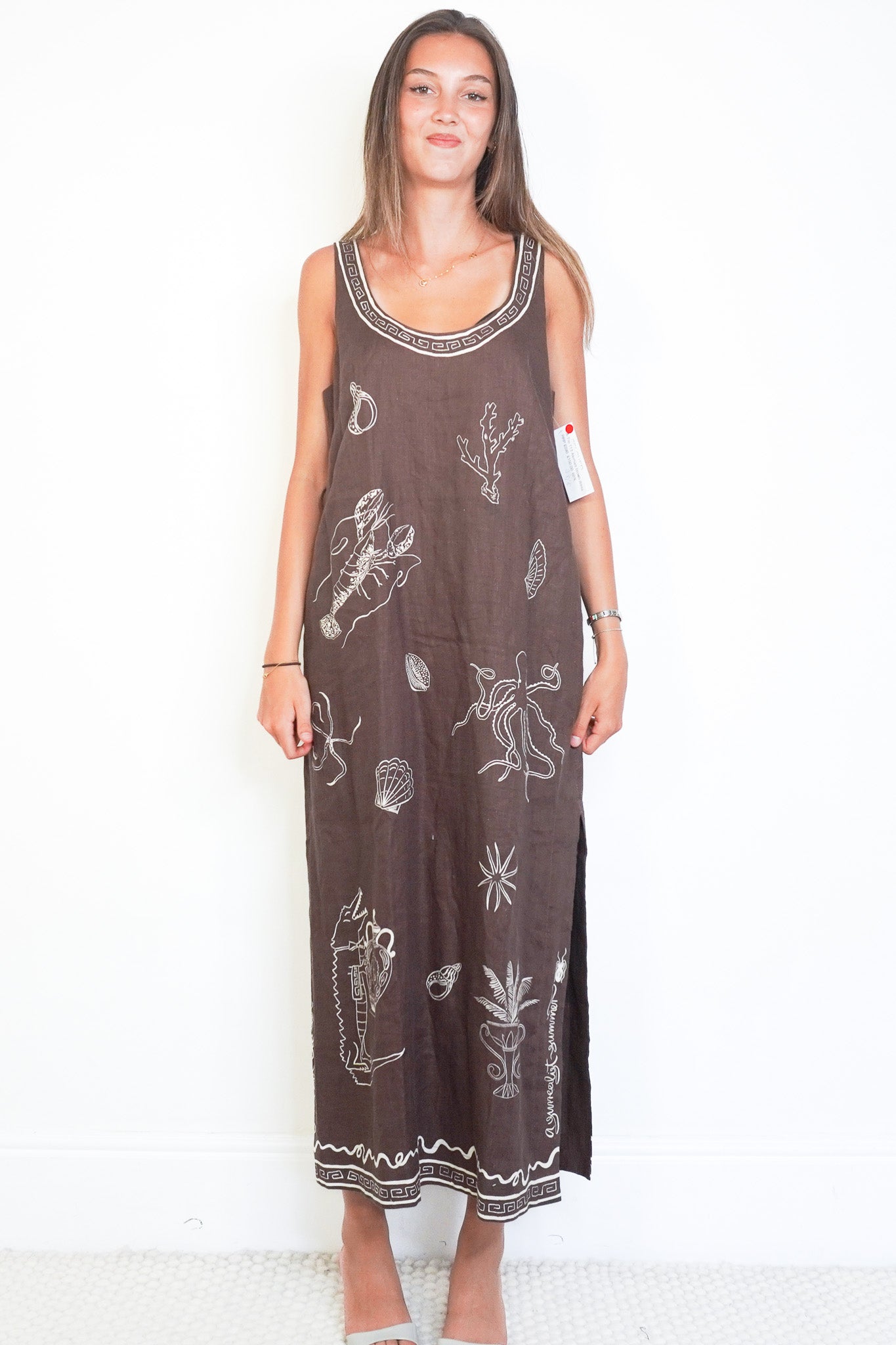 Front image of the Alemais Brown Printed Flax Maxi Dress Chelsea London