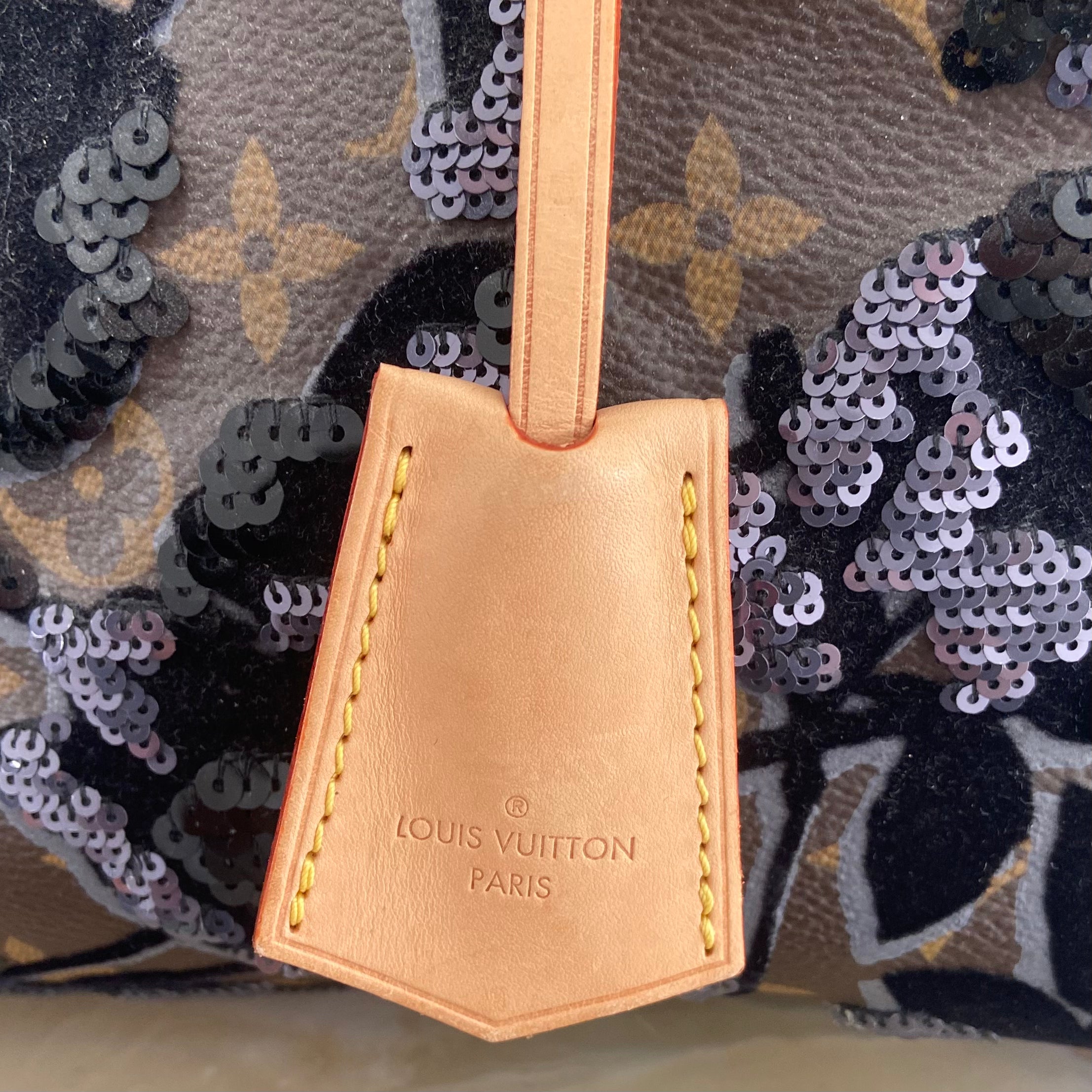 Louis Vuitton Speedy Fleur De Jais 2010 Collection | Authentic Preloved