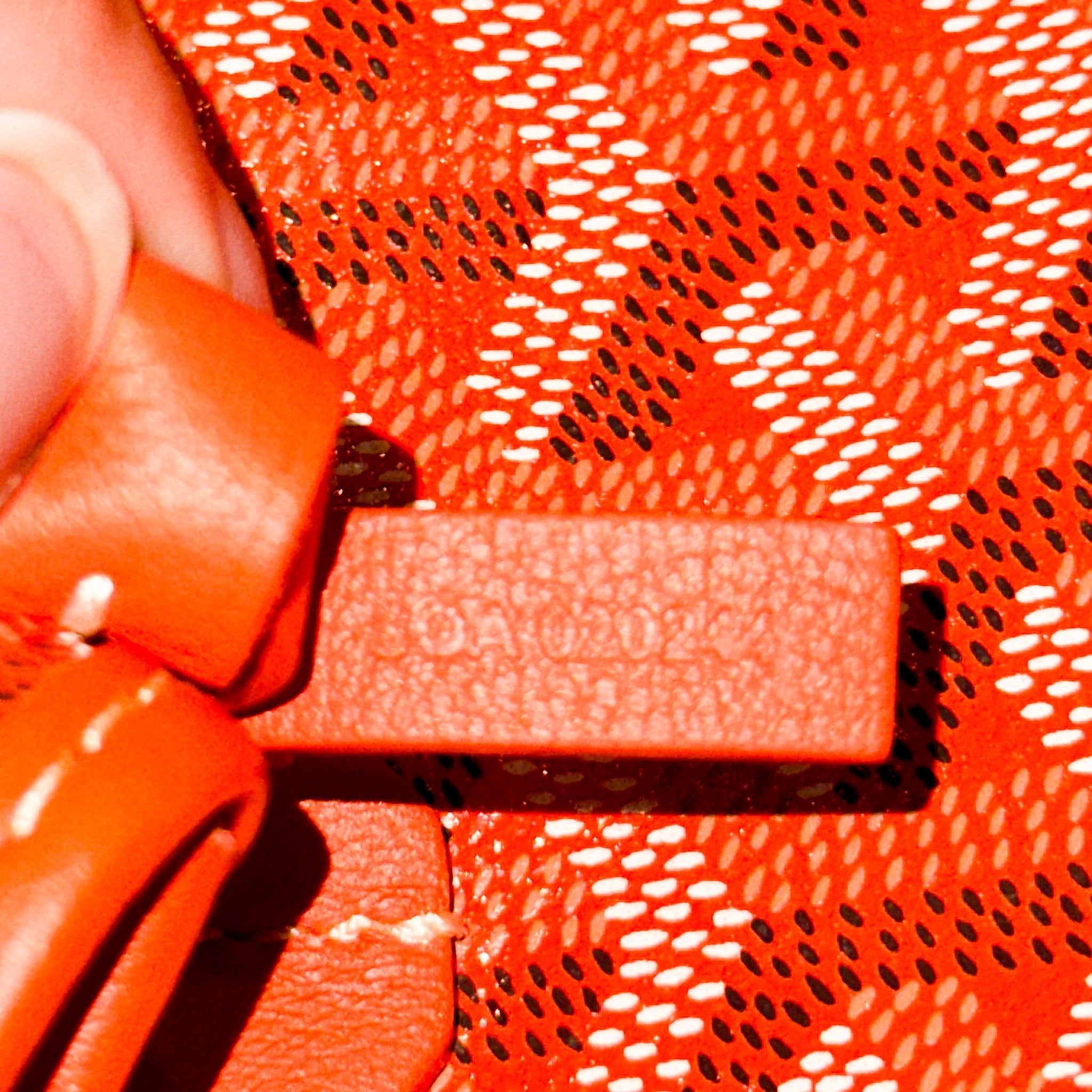 Goyard Anjou Mini bag RRP £2000 | Authentic Preloved - Reloved Again