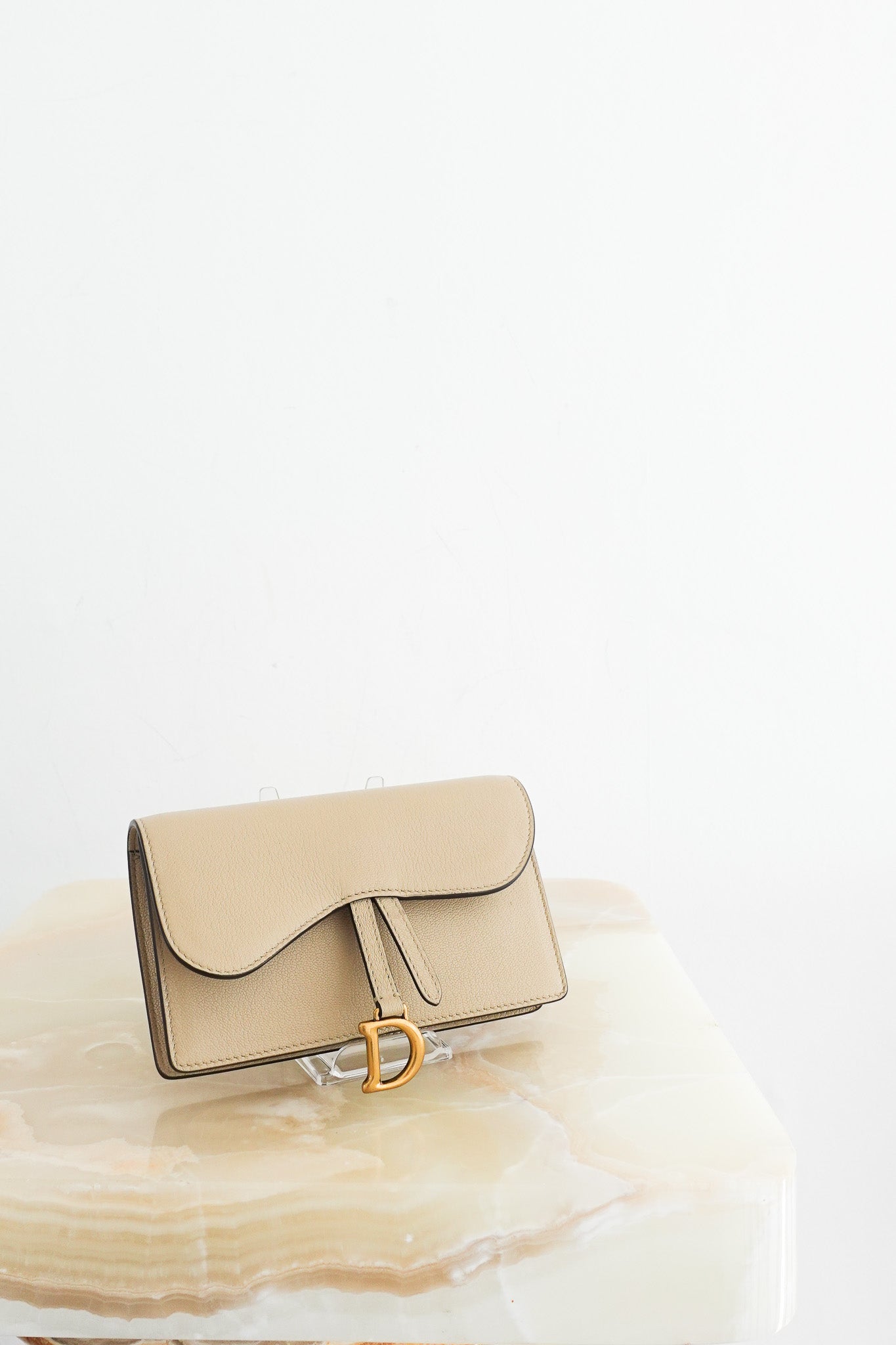 dior-nano-saddle-belt-bag-cover-picture