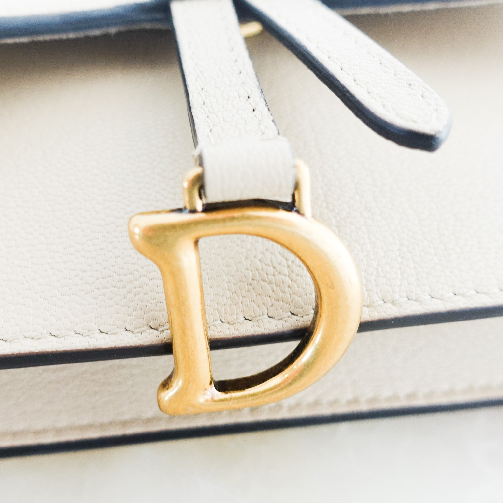 dior-nano-saddle-belt-bag-logo-picture
