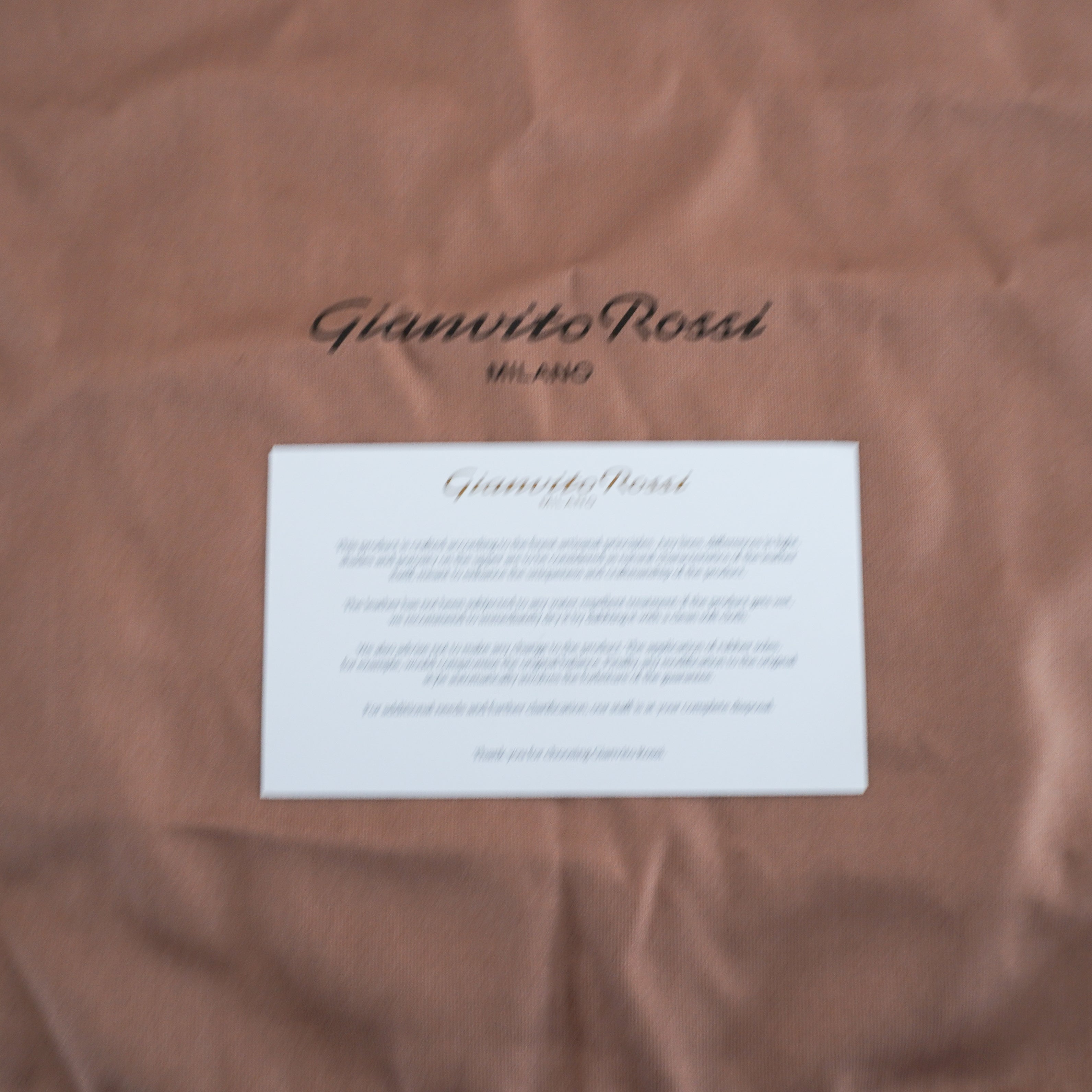 Dustbag image for the Gianvito Rossi mules.