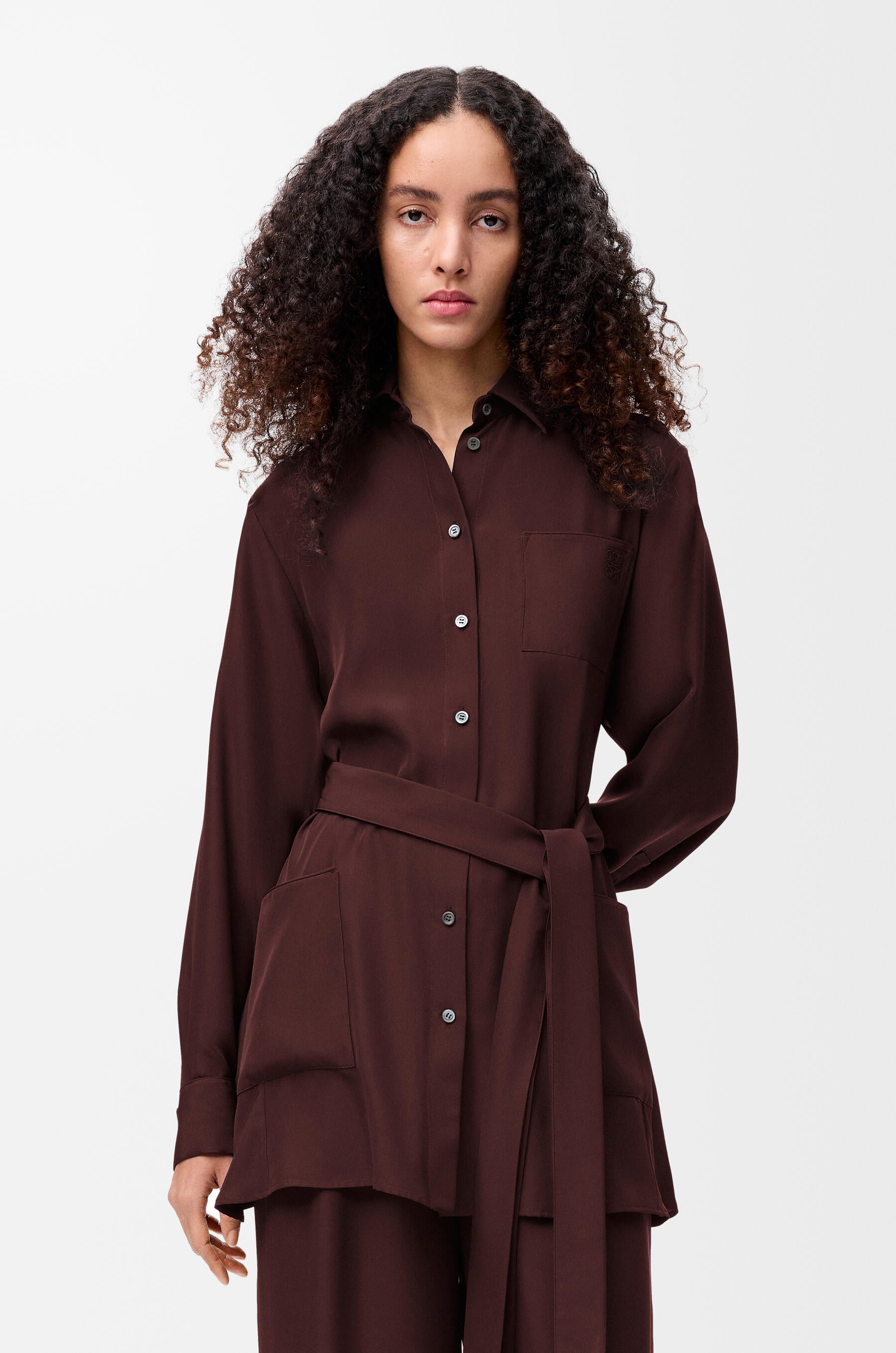 https://www.loewe.com/eur/en/women/womenswear/blouses-and-tops/belted-blouse-in-silk/S359Y05XEV-7110.html